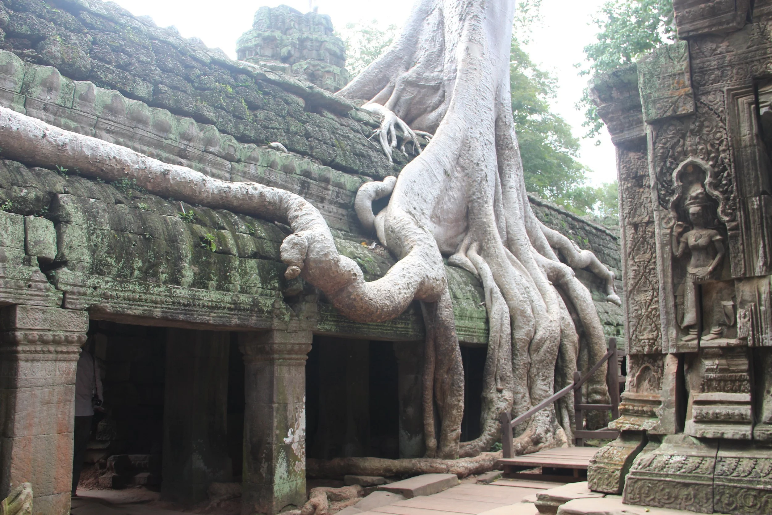 Psychology of Negotiation: Part IV – The Psychological Cost of Too Many Choices