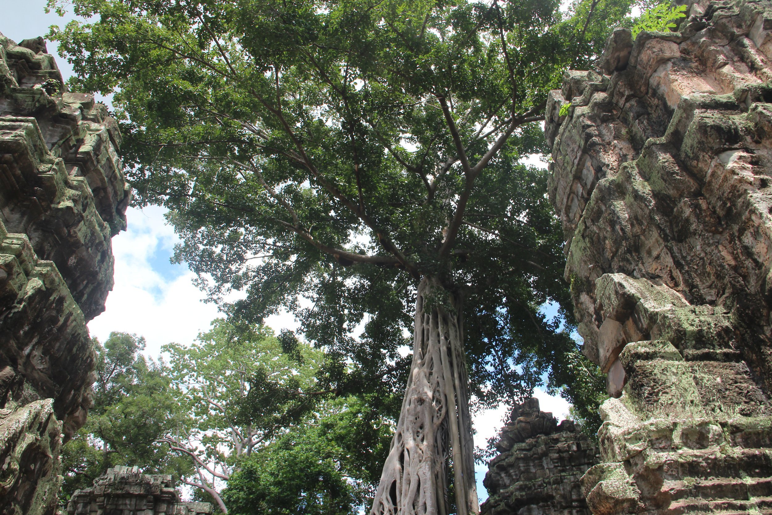 Psychology of Negotiation: Part II – Less Is More