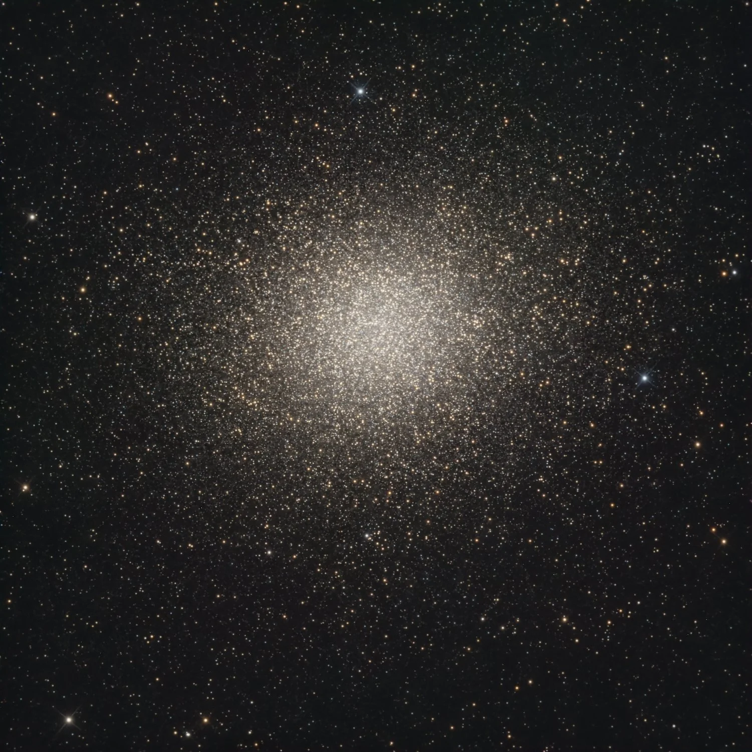 5139.jpg