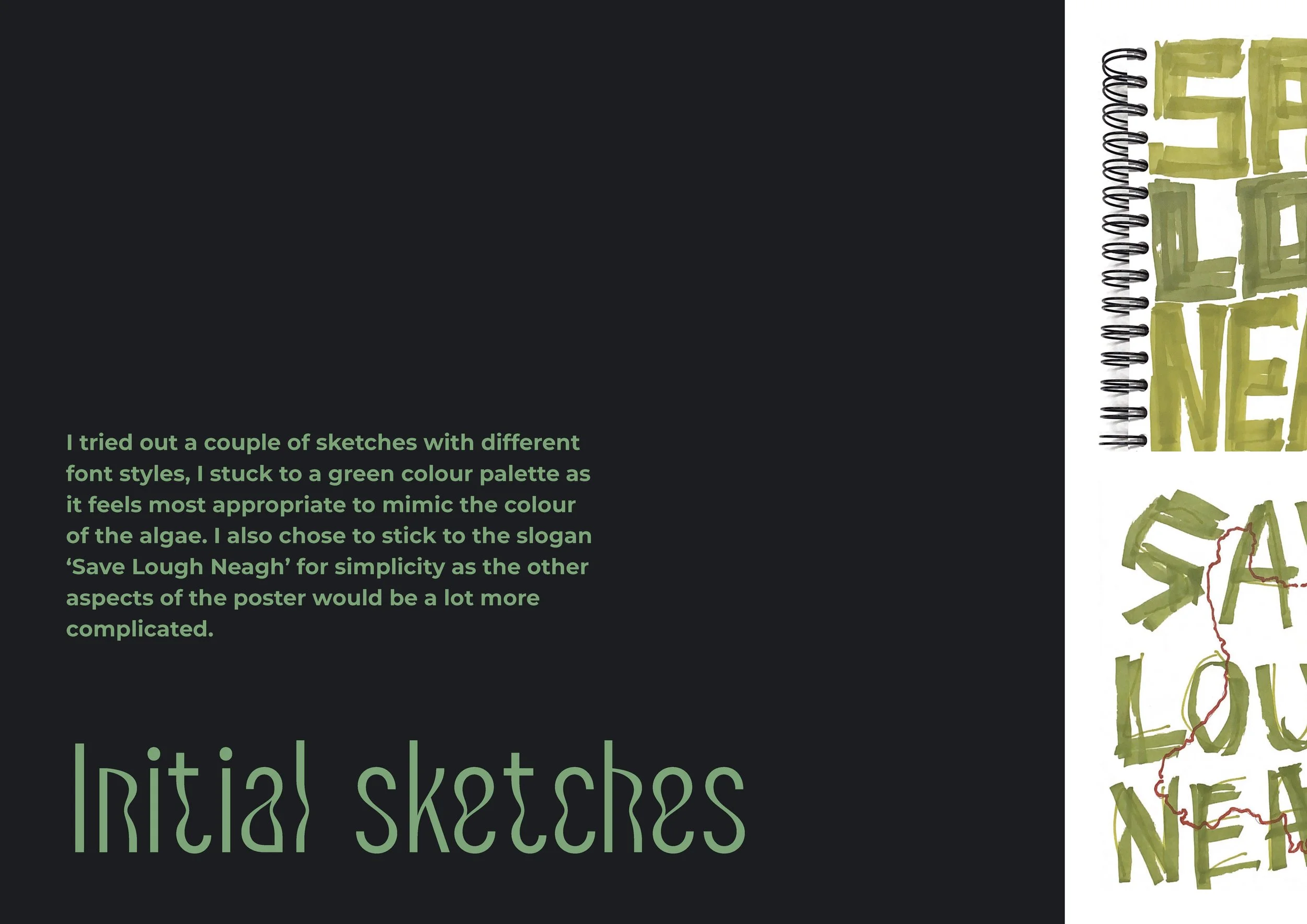 Social_Justice_ResearchandDev_JuliaScallon_Page_12.jpg