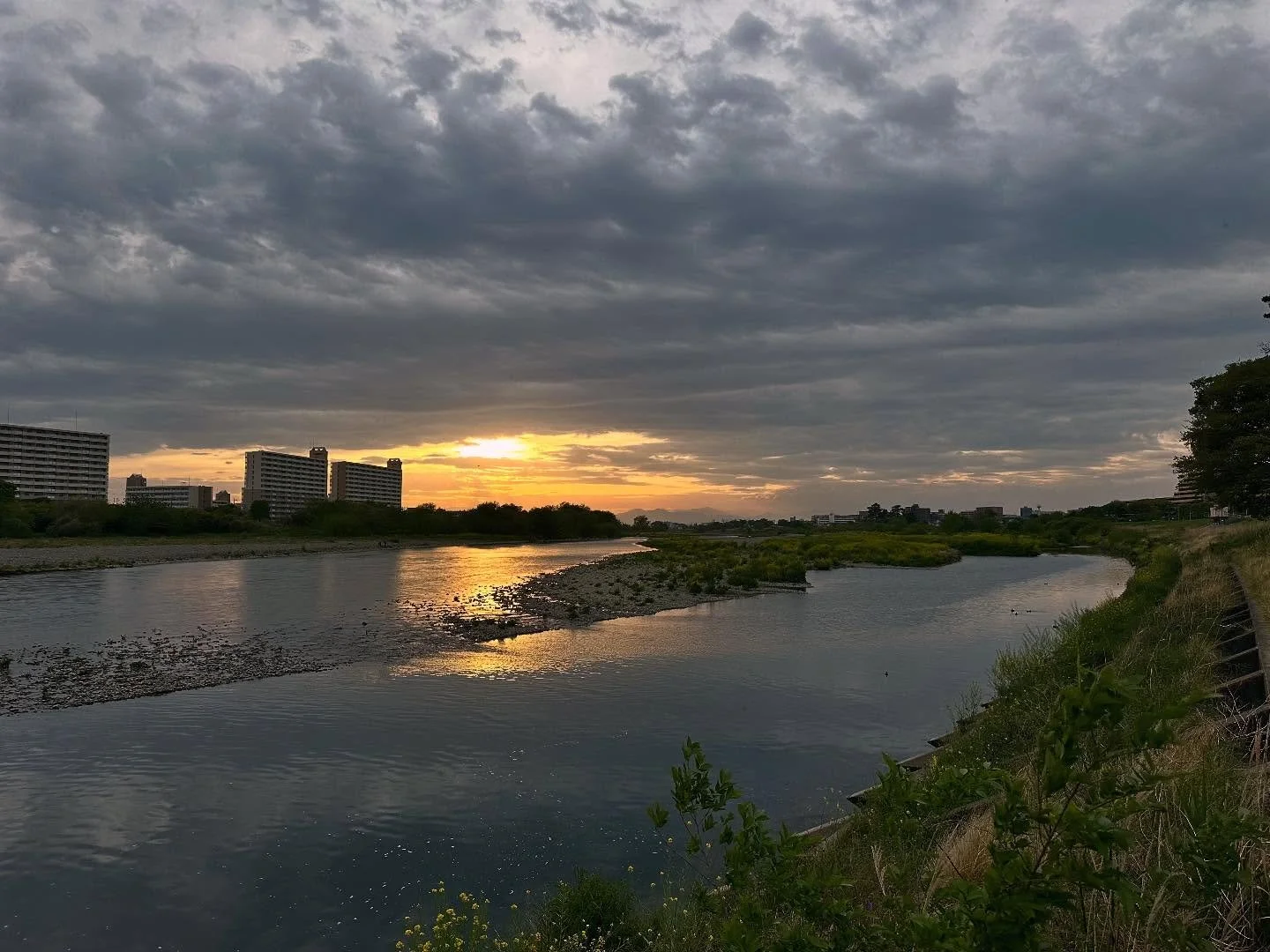 20250420 狛江散歩