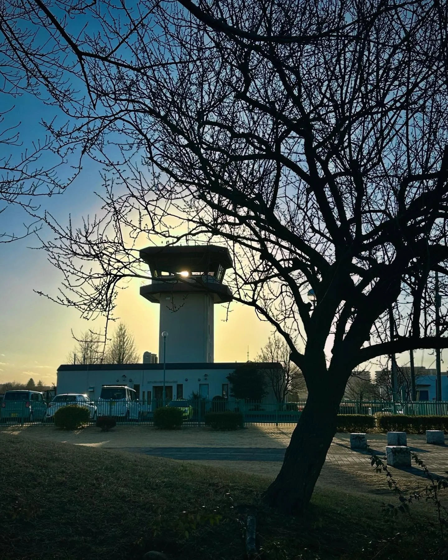 20250211 調布飛行場