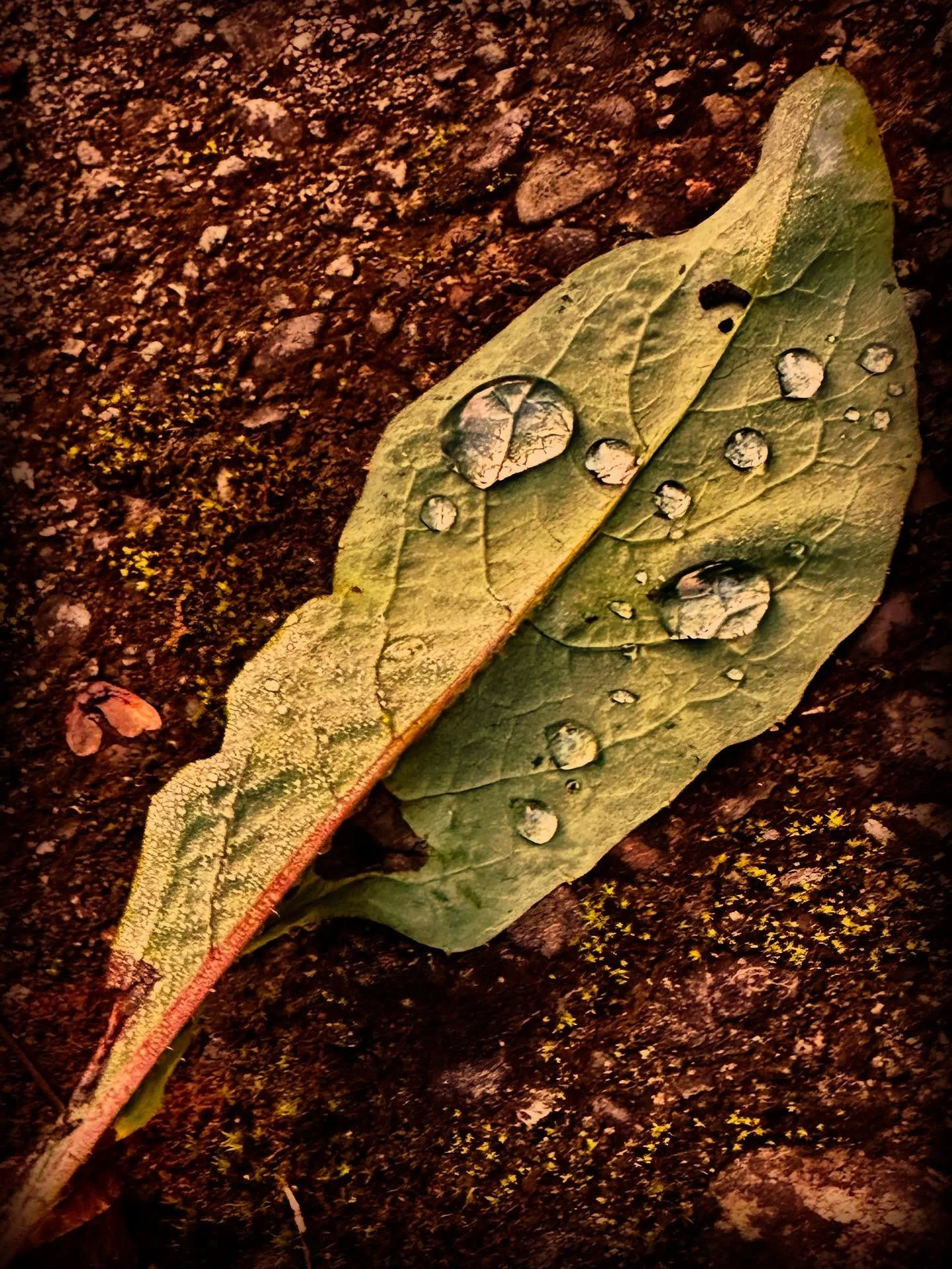 20251003_越後湯沢朝散歩2