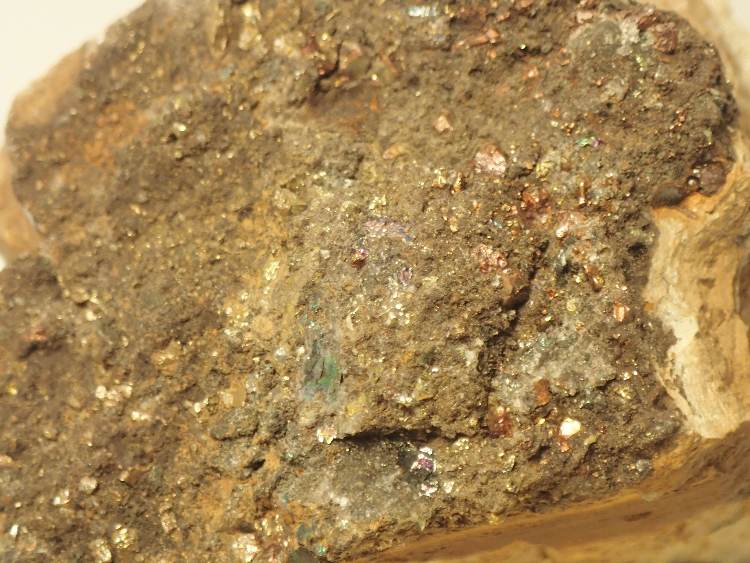 P6153944.JPG