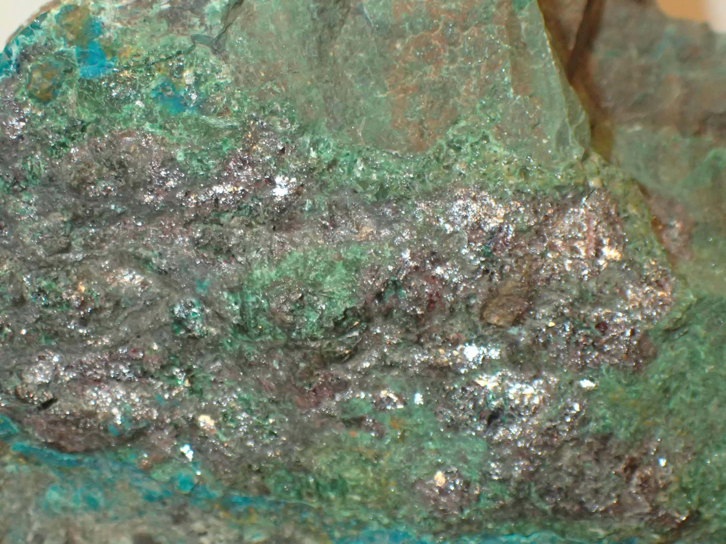 P6154044.JPG