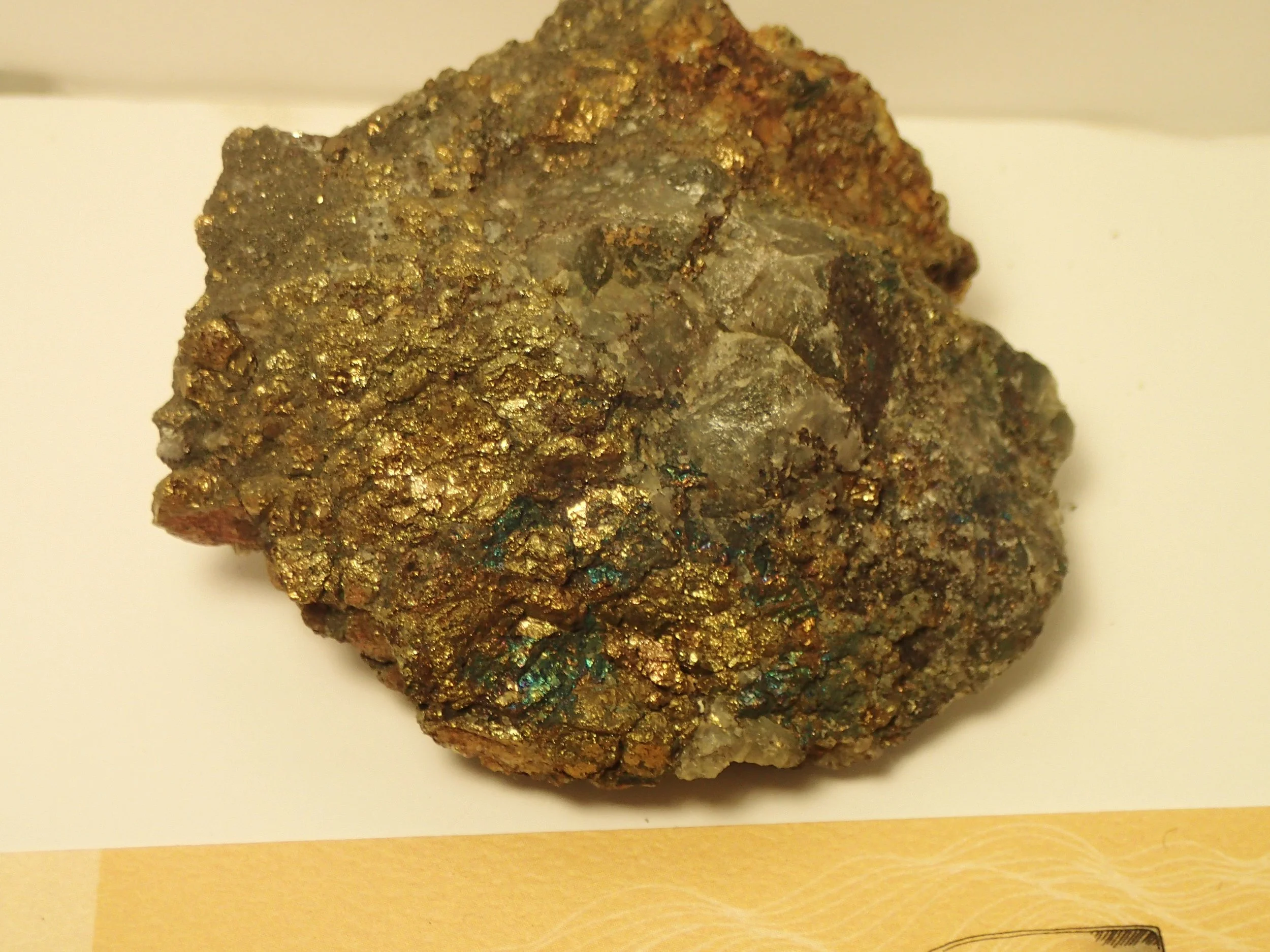 P6153967.JPG