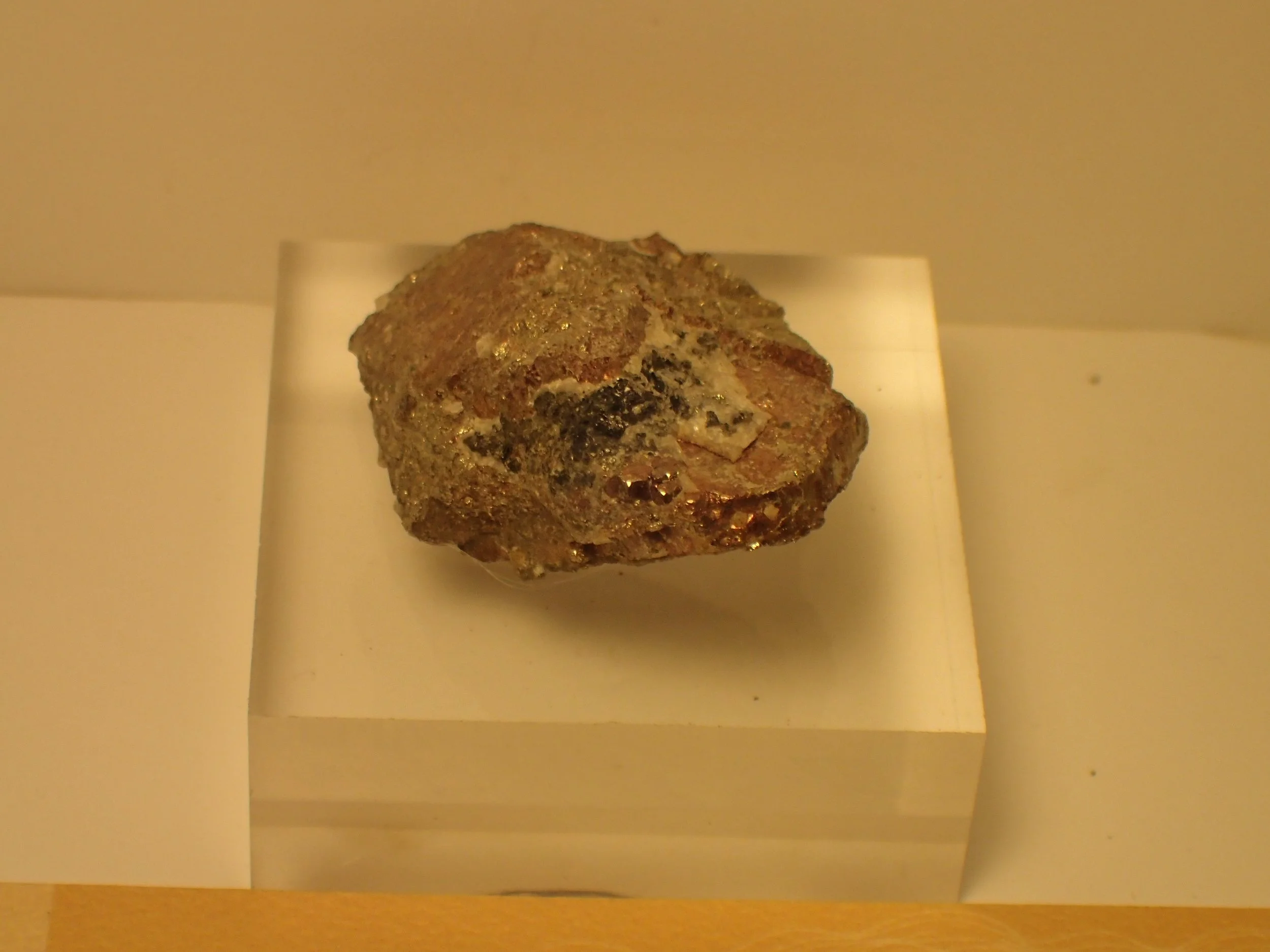P6154061.JPG