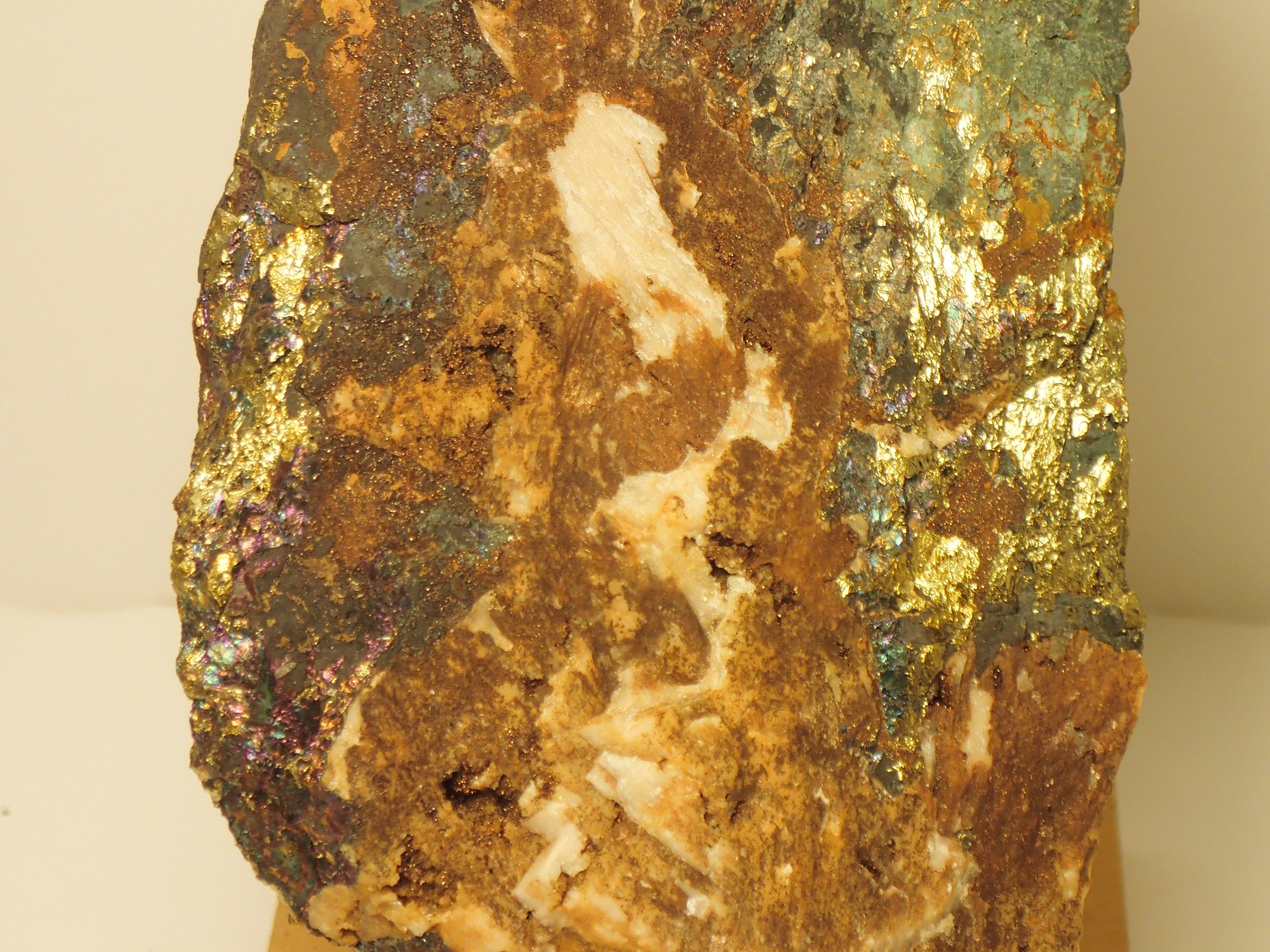 P6154091.JPG