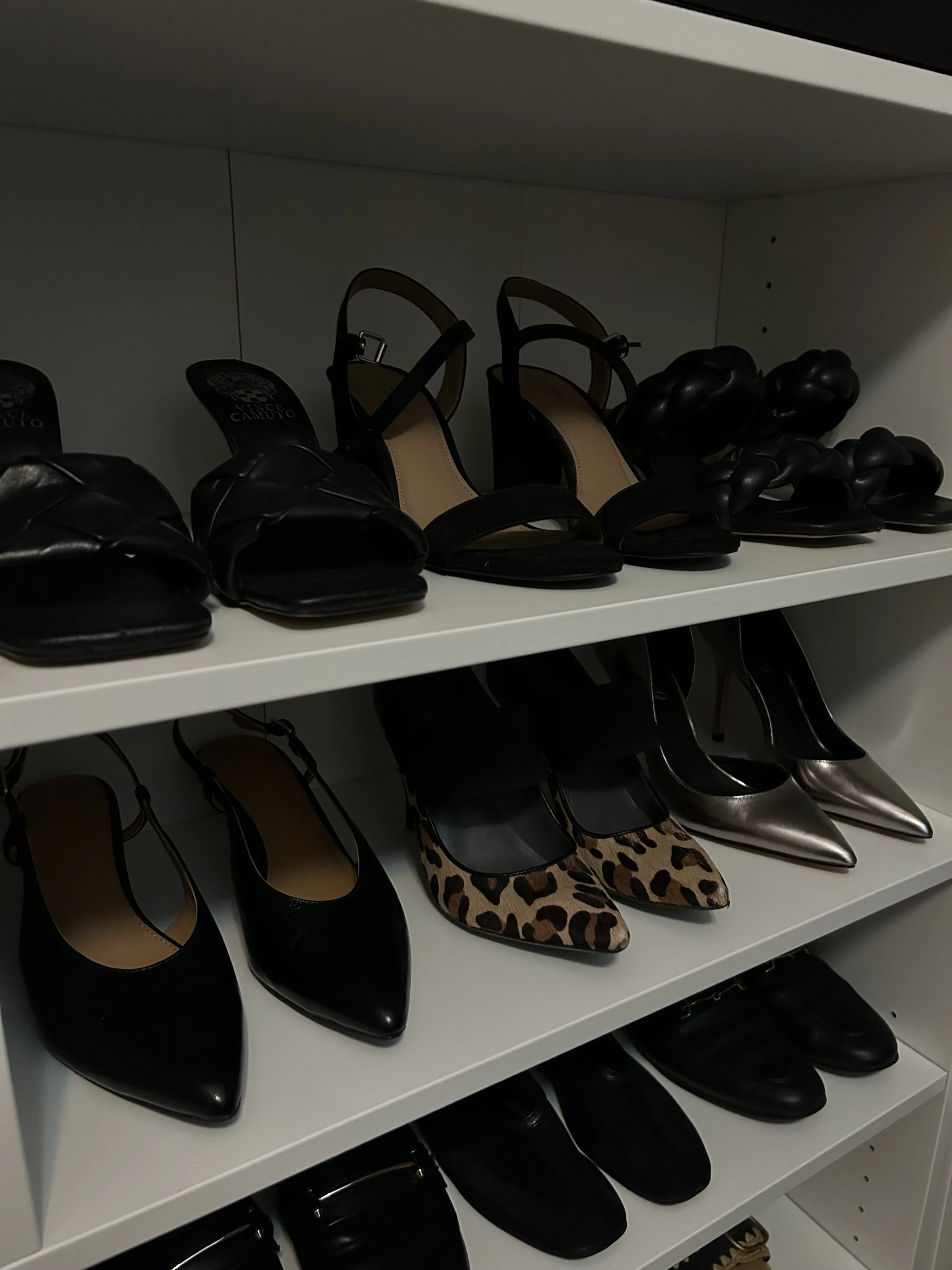 Shelf displaying black high-heeled shoes, including sandals, pointed-toe pumps, leopard print shoes, and metallic heels.