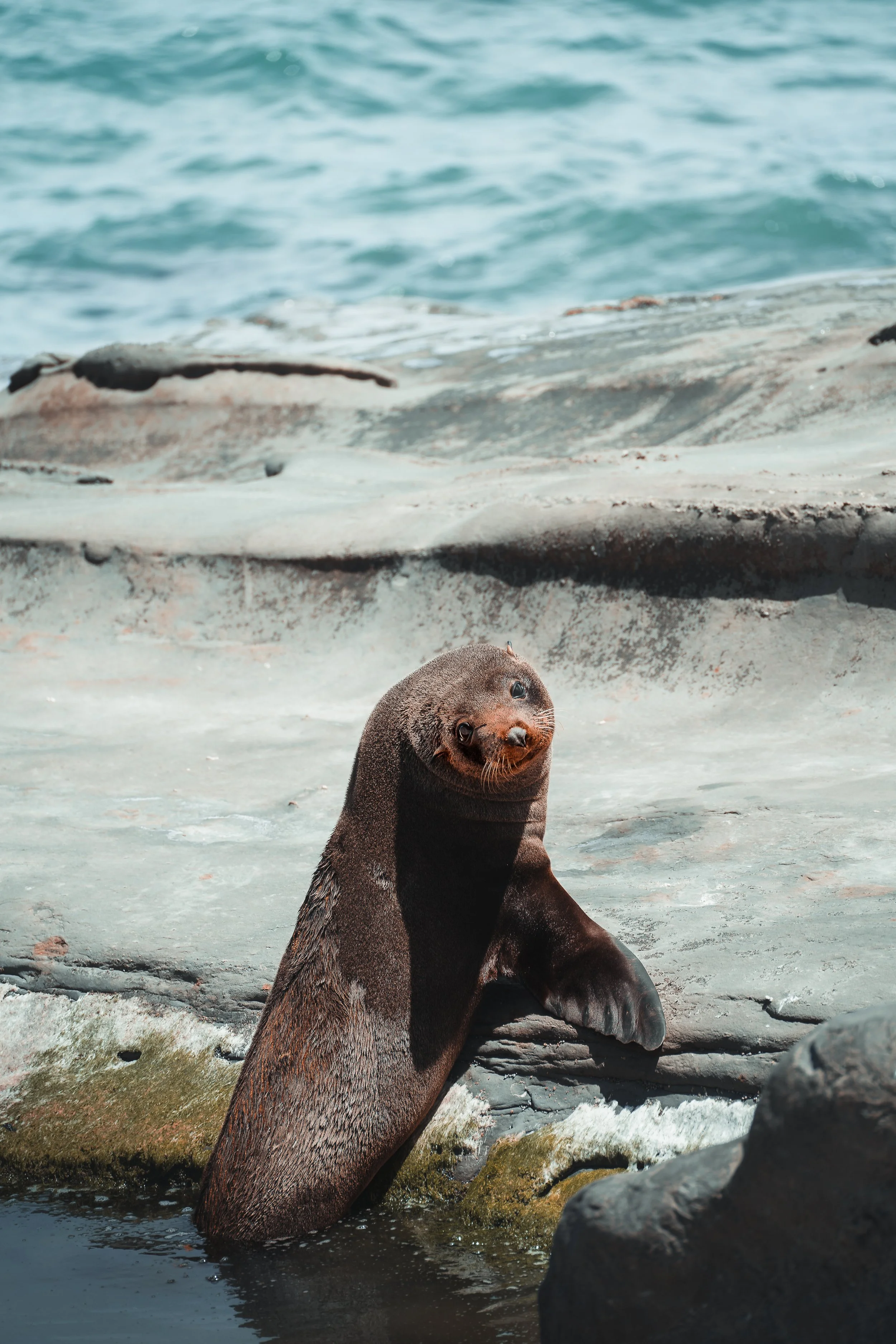 A7108512-Edit.jpg