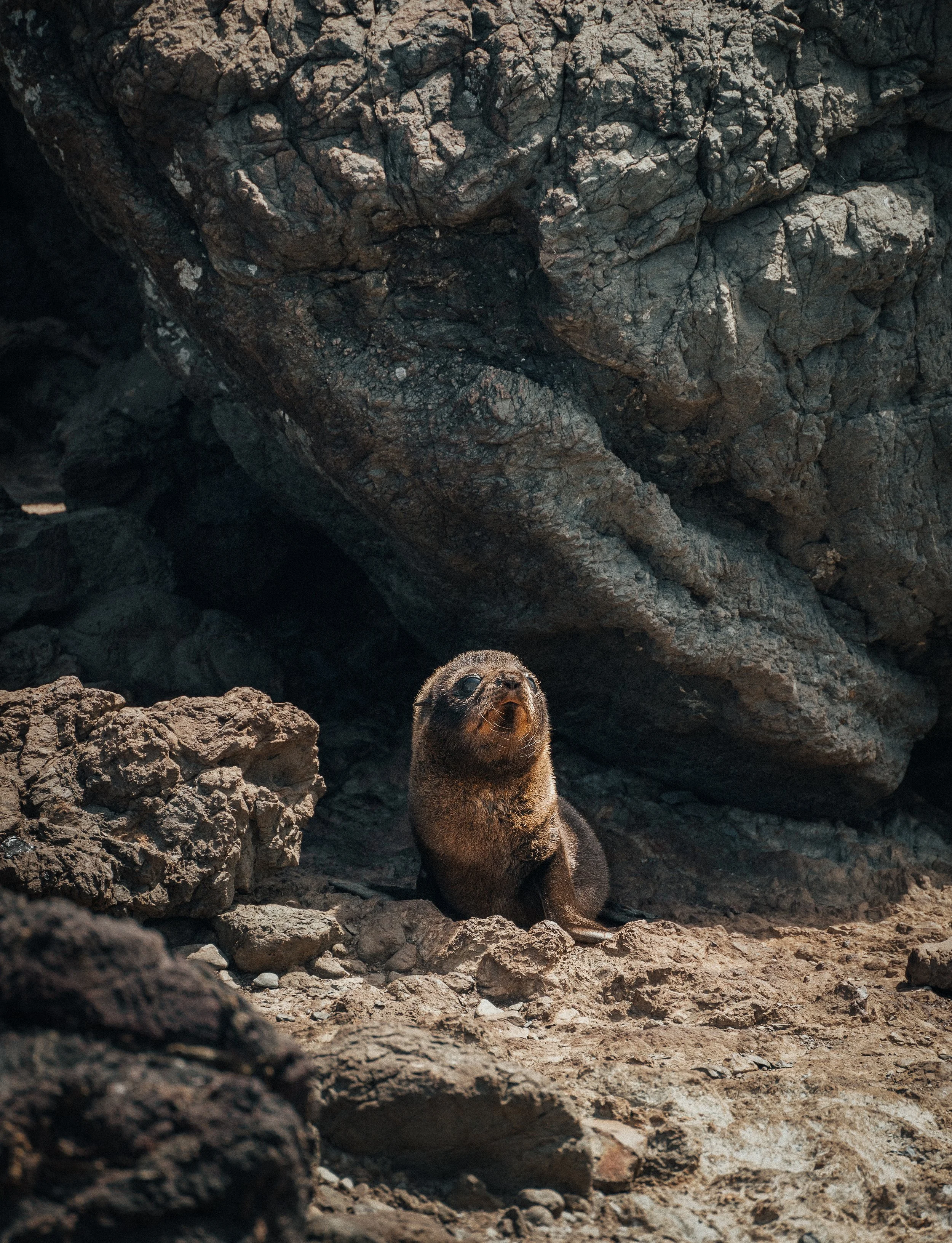 A7108547-Edit.jpg