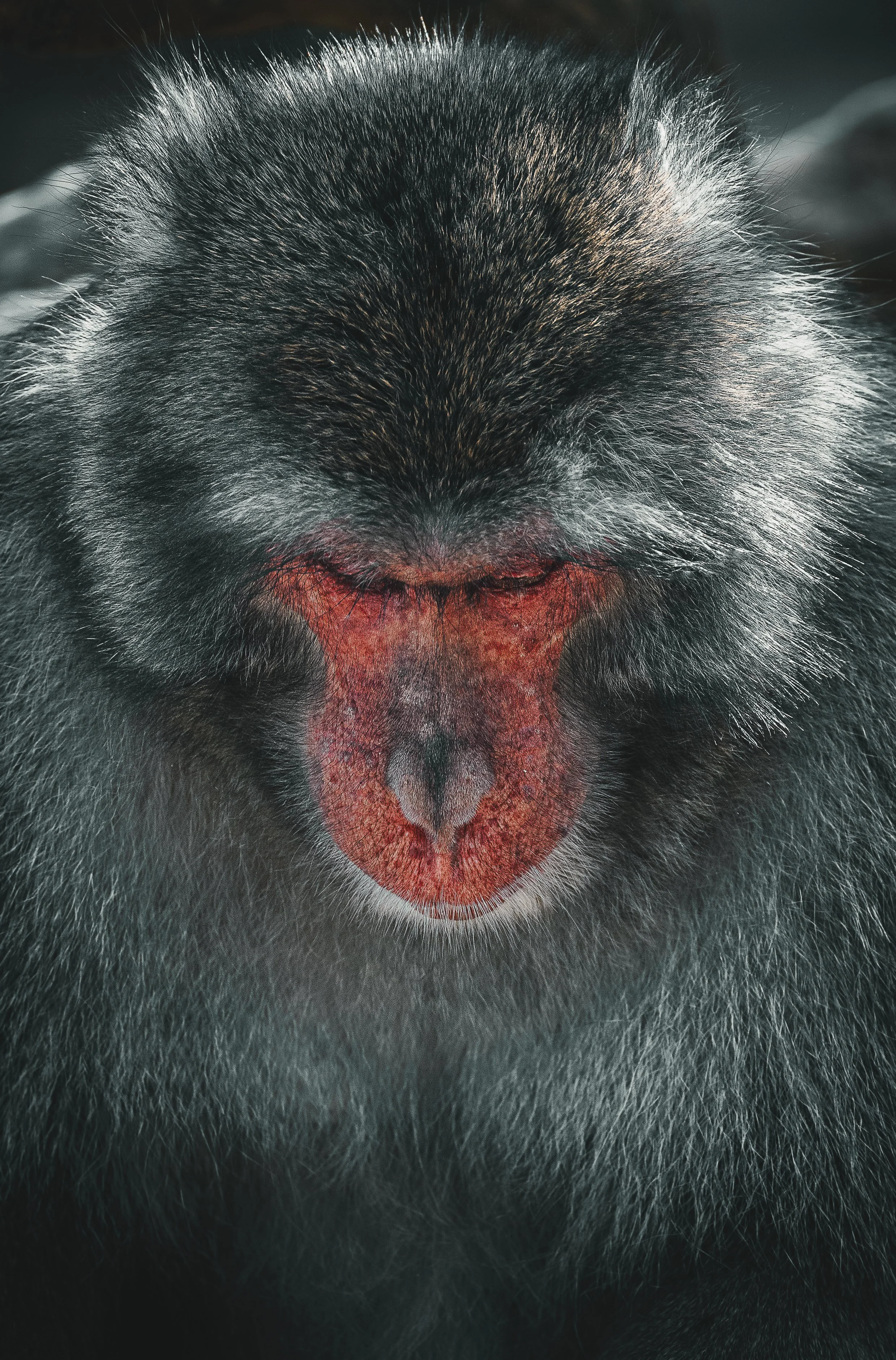 A7107596-Edit.jpg
