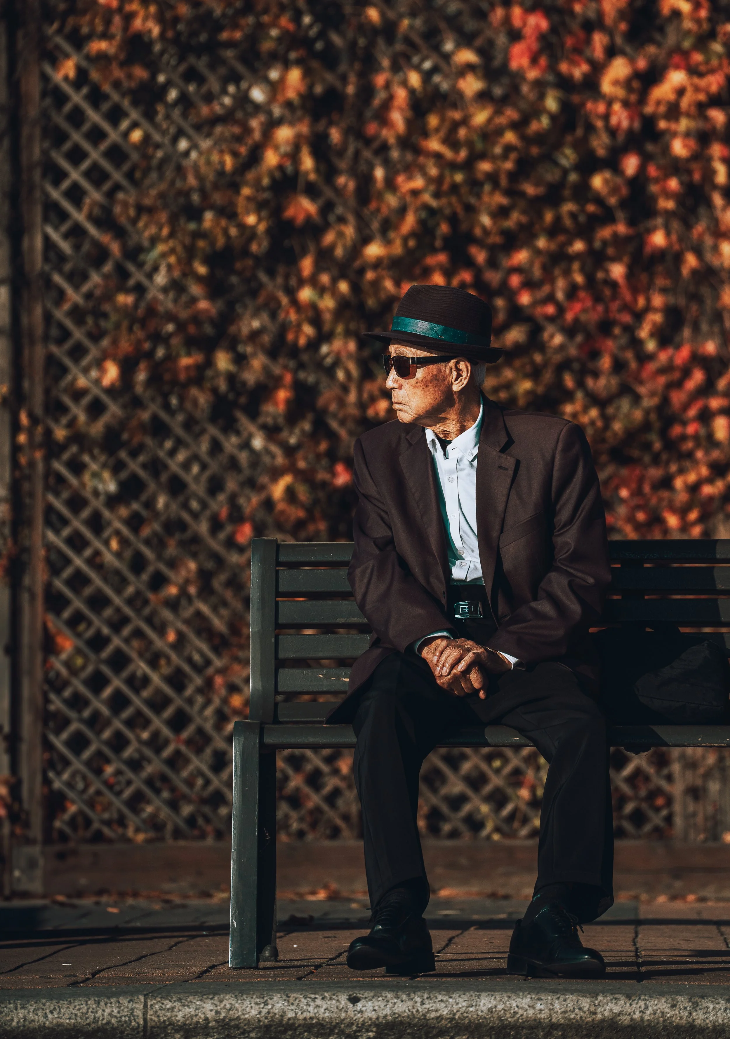 A7108149-Edit.jpg
