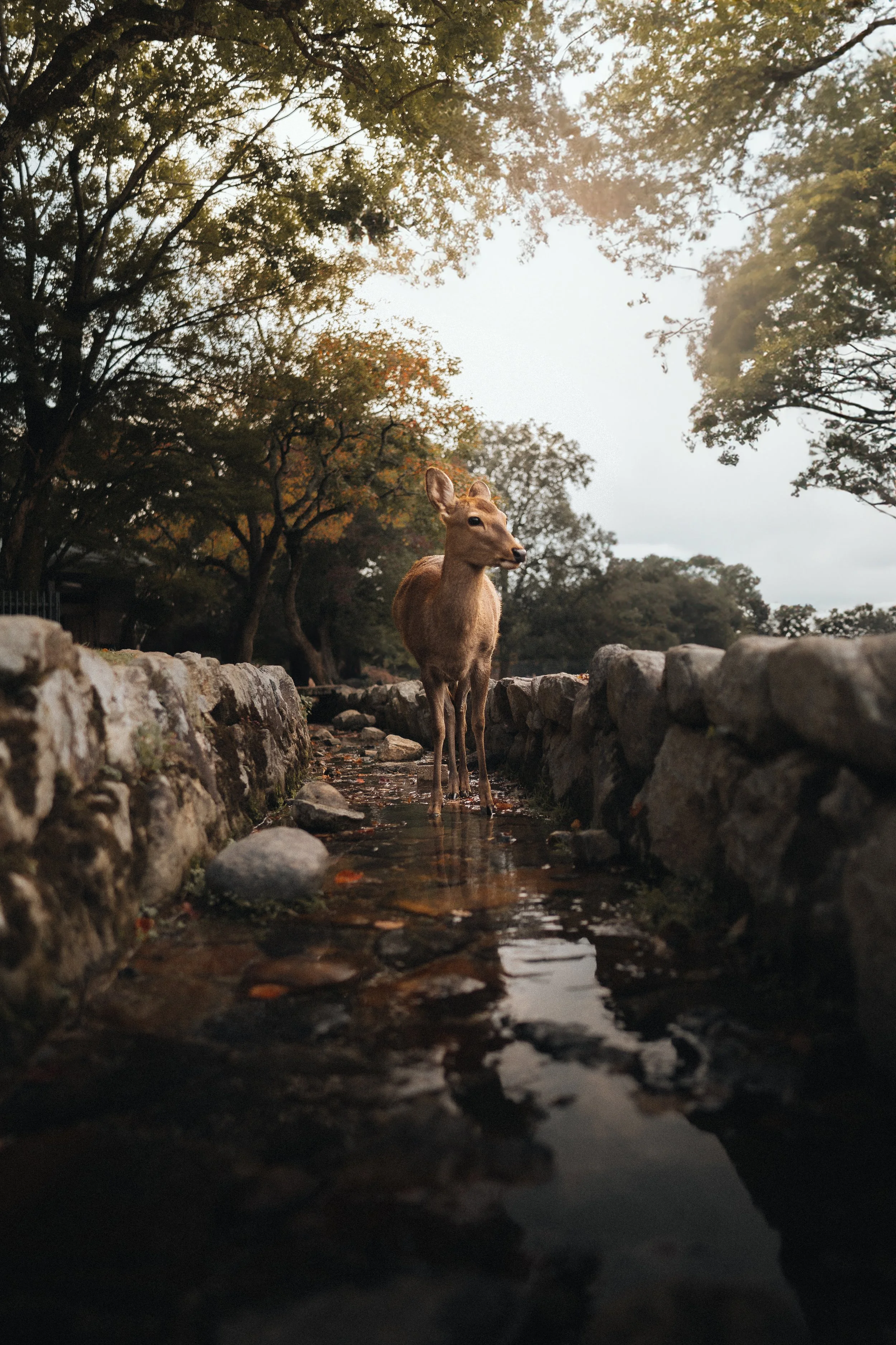 A7107869-Edit.jpg
