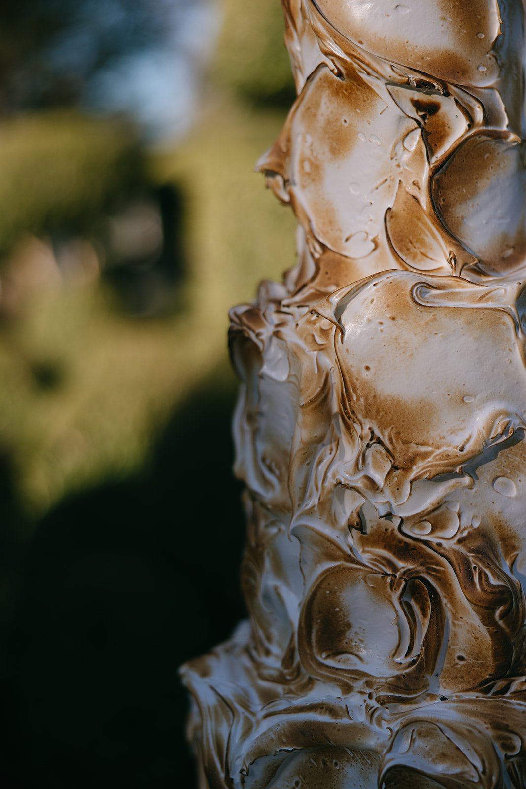 LaurenAnnePhotography-PrintResolution-JardinDeLuz-1443.jpg