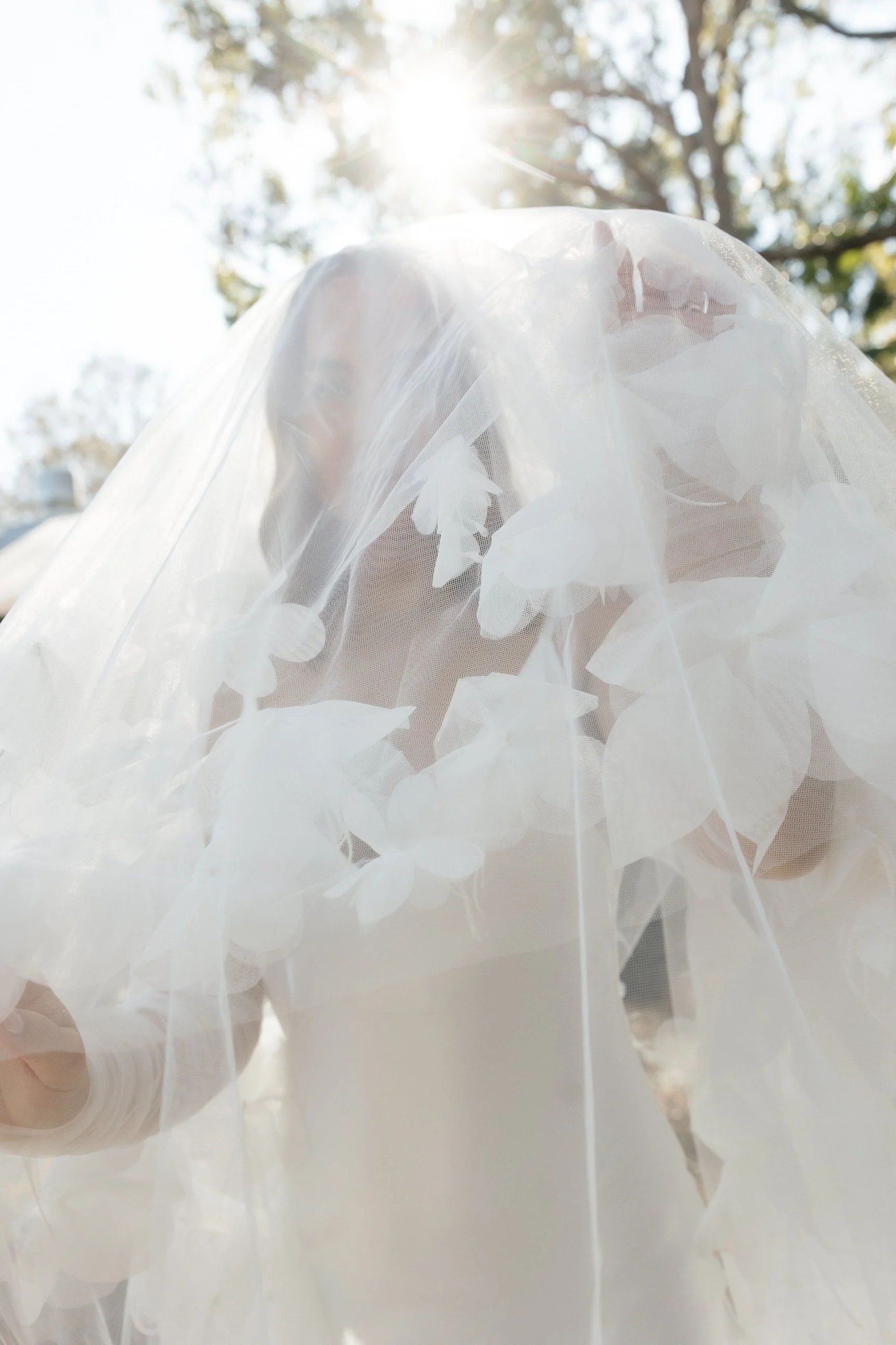 Close-up photo of white lace or tulle fabric, possibly a wedding veil, with sunlight filtering through tree branches in the background.