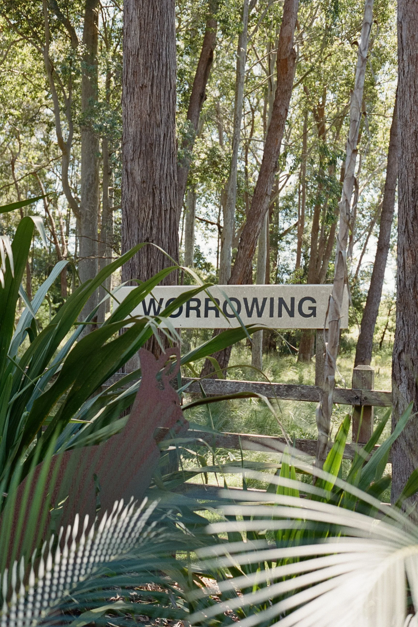 Worrowing wedding planner -wedding-planner-south-coast-nsw 1.jpg