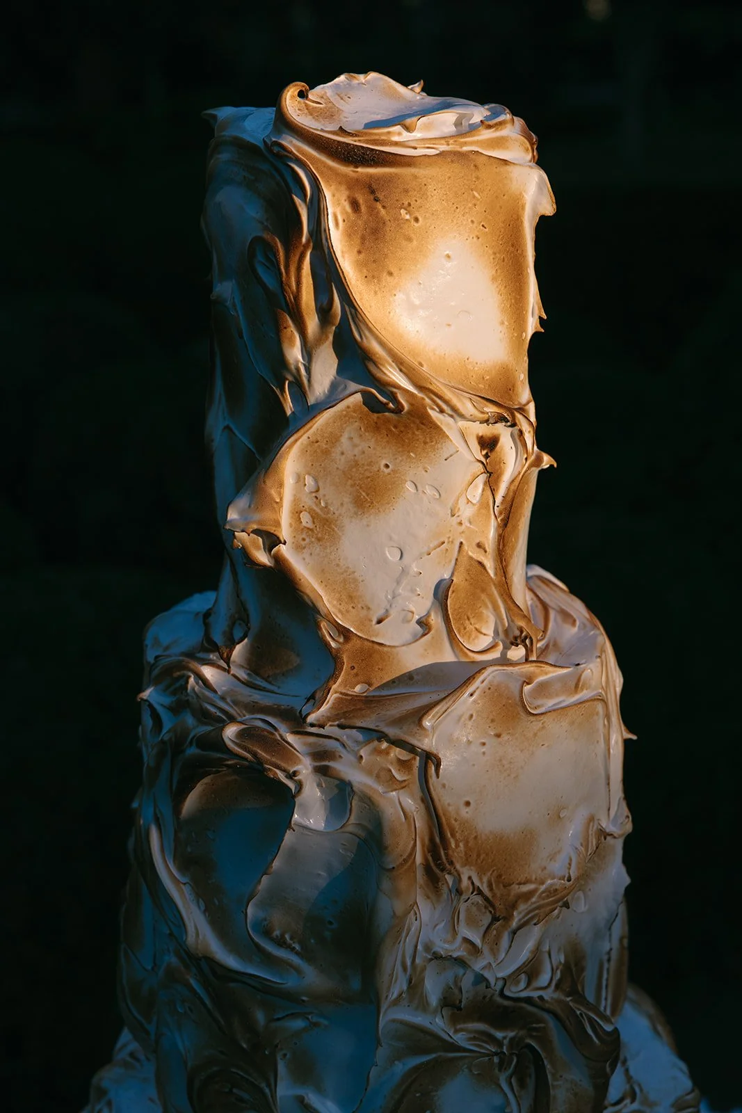 LaurenAnnePhotography-PrintResolution-JardinDeLuz-1620.jpg