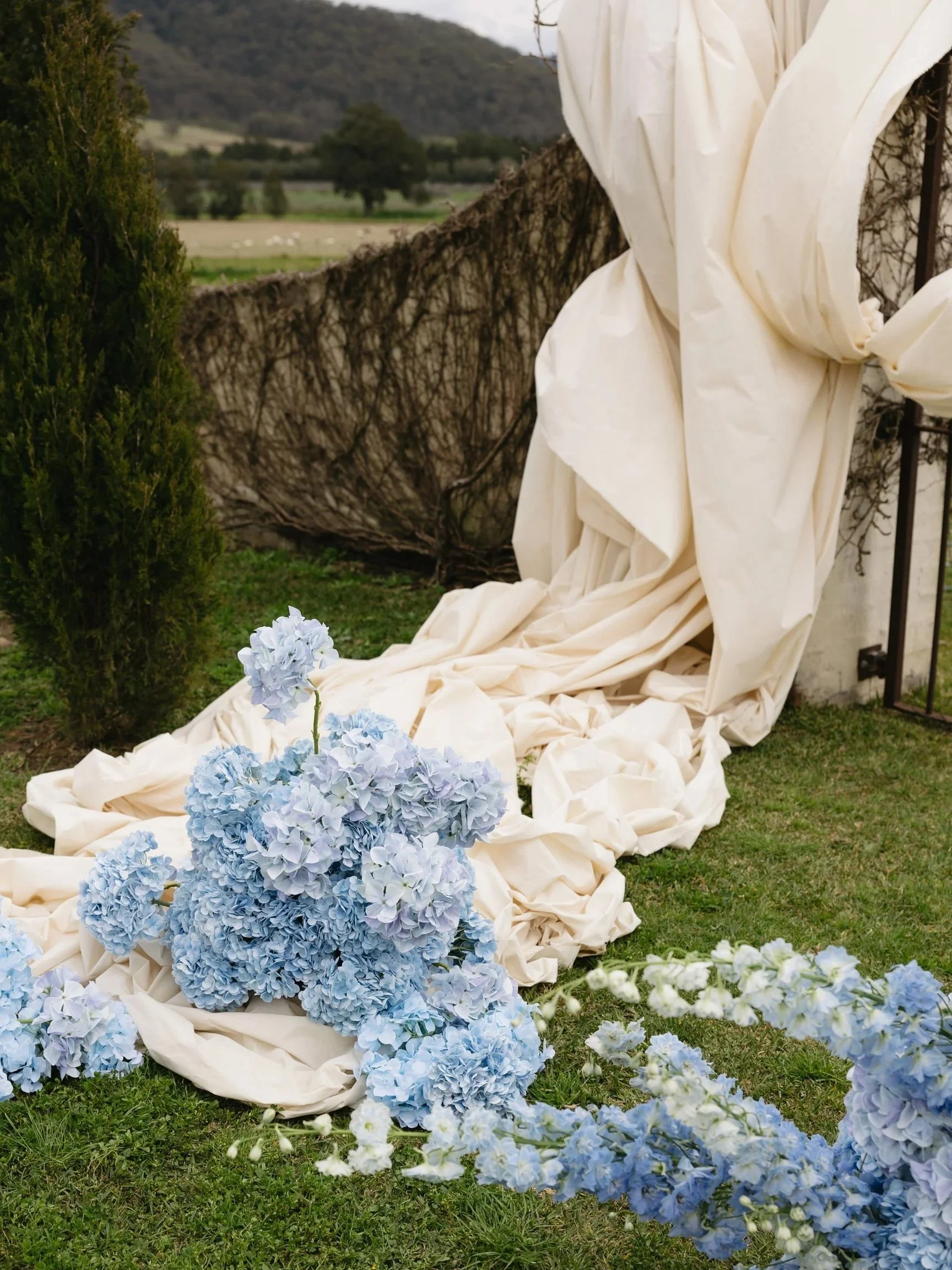 An outdoor scene featuring a draped white fabric on a black metal structure, with a cluster of light blue and white hydrangea flowers on a grassy area in the foreground and a scenic background of distant hills and trees.