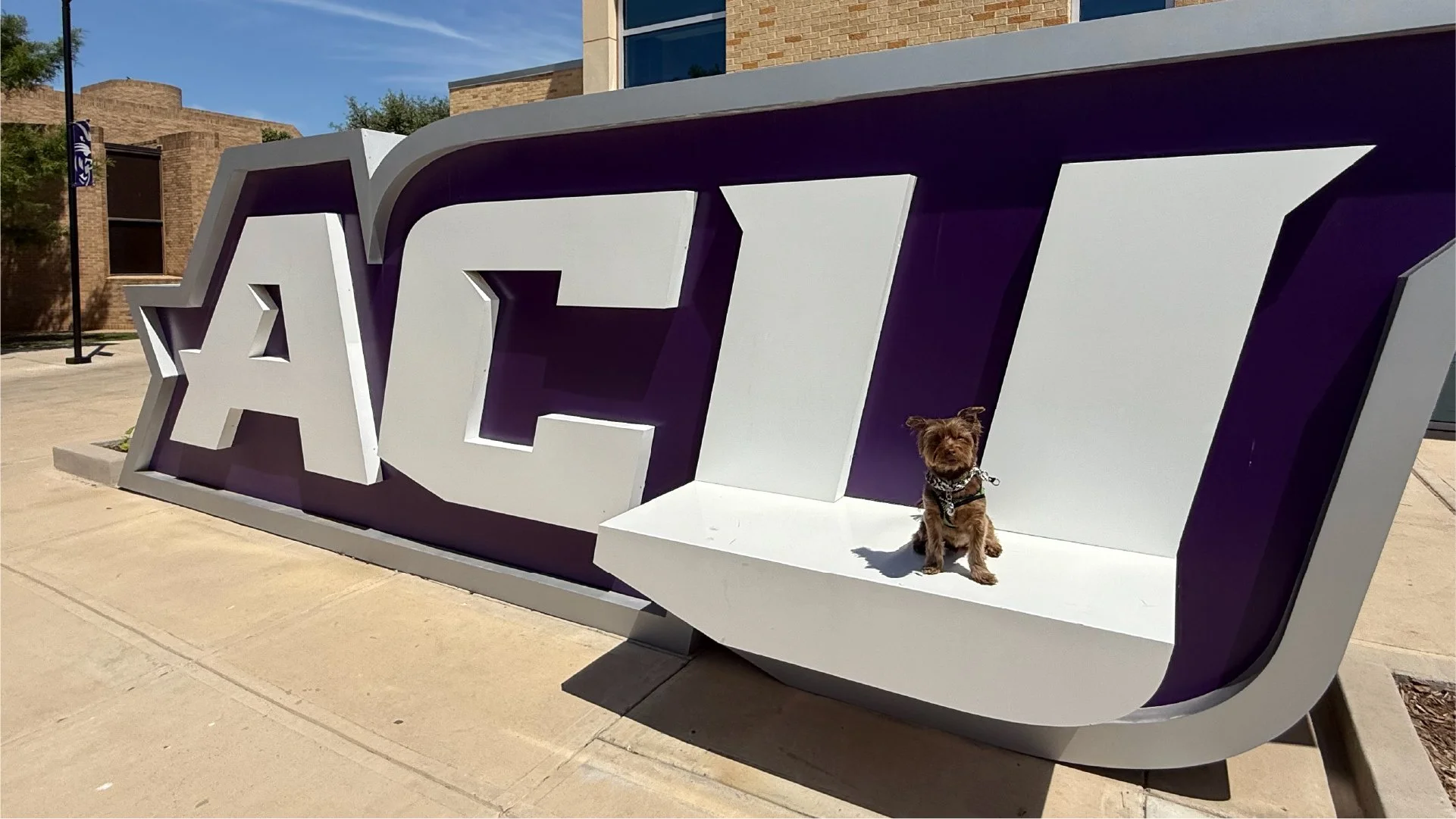 Zephyr at Abilene Christian University
