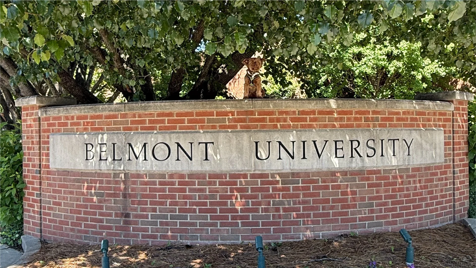 Zephyr at Belmont University