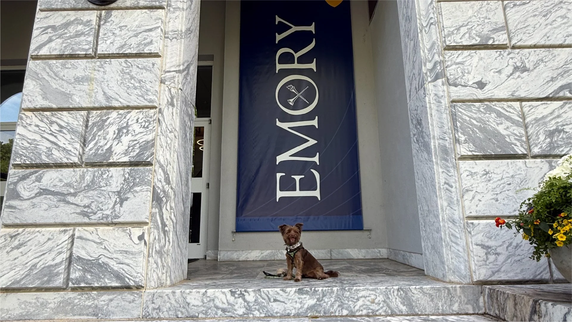 Zephyr at Emory University