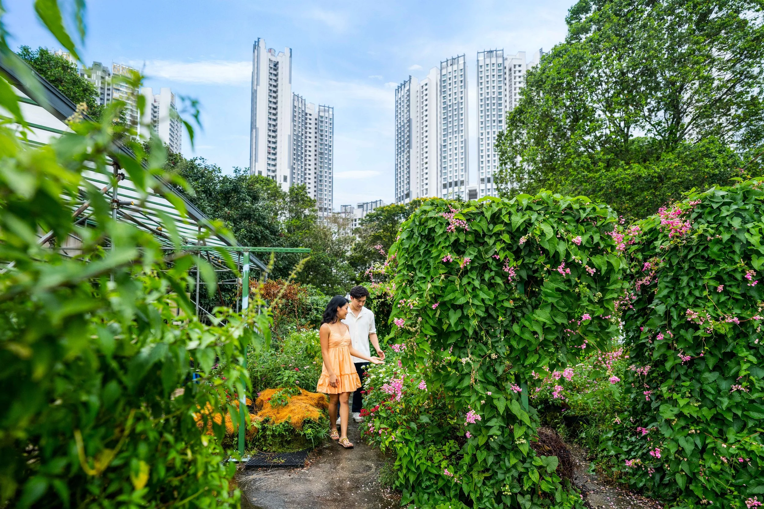 Atrakcje Singapuru: Miasto w naturze.