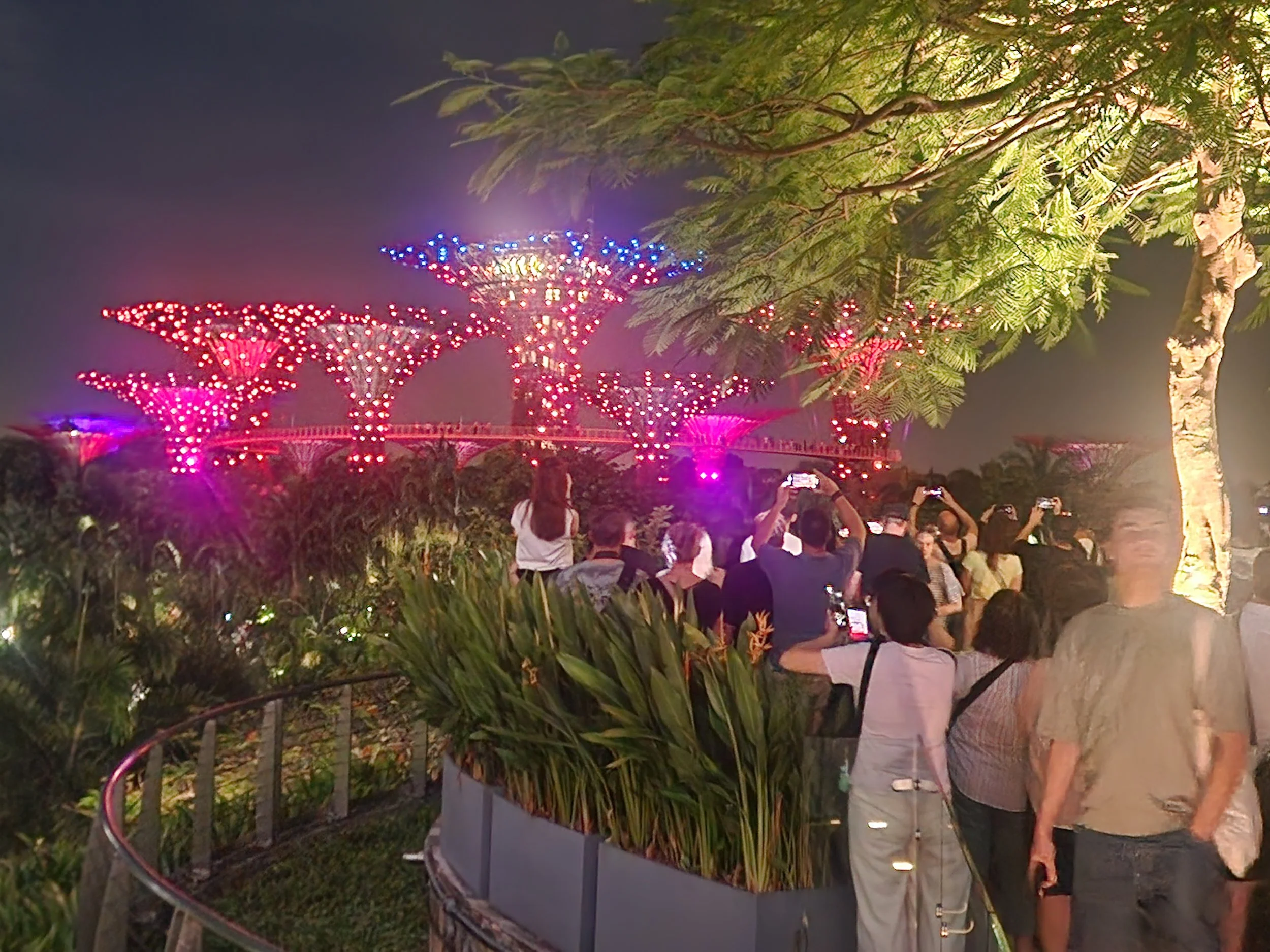 Atrakcje Singapuru:. Gardens by the Bay, Ogrody przy zatoce, Singapur.po zmroku.