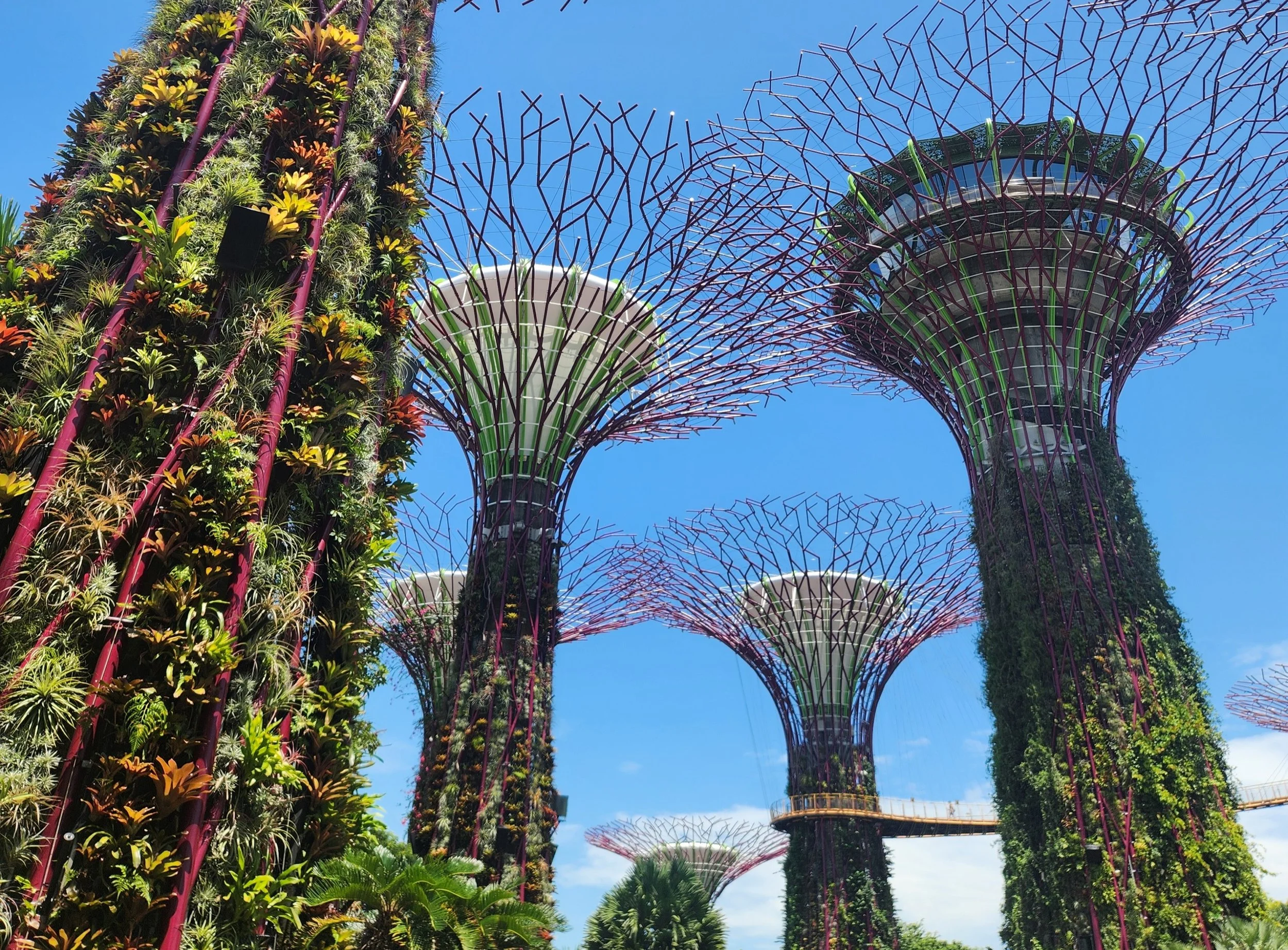 Atrakcje Singapuru. Gardens by the Bay, Ogrody przy Zatoce, Singapur.