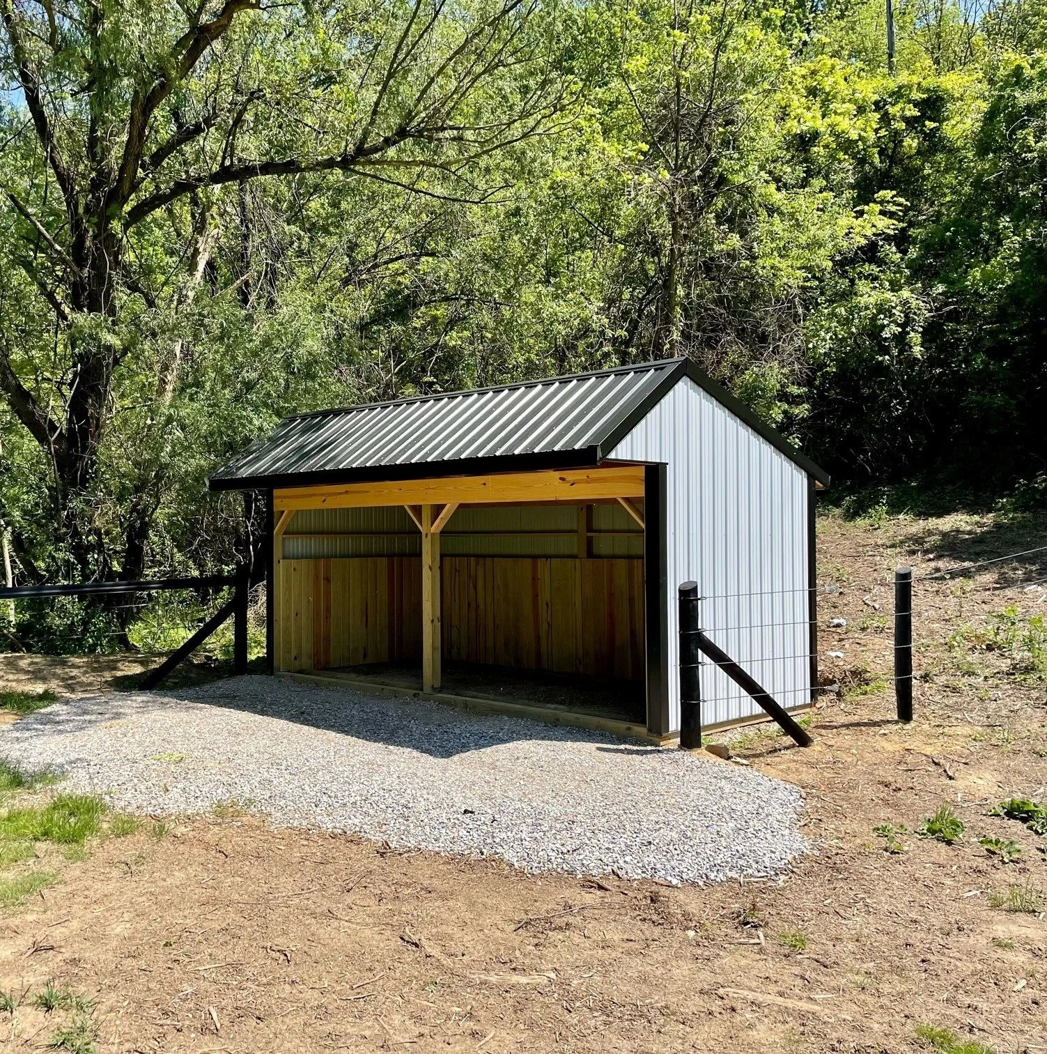Custom-built pole barn with metal roof and open livestock shelter design, built with wood framing and steel siding, set in a rural Maine property.