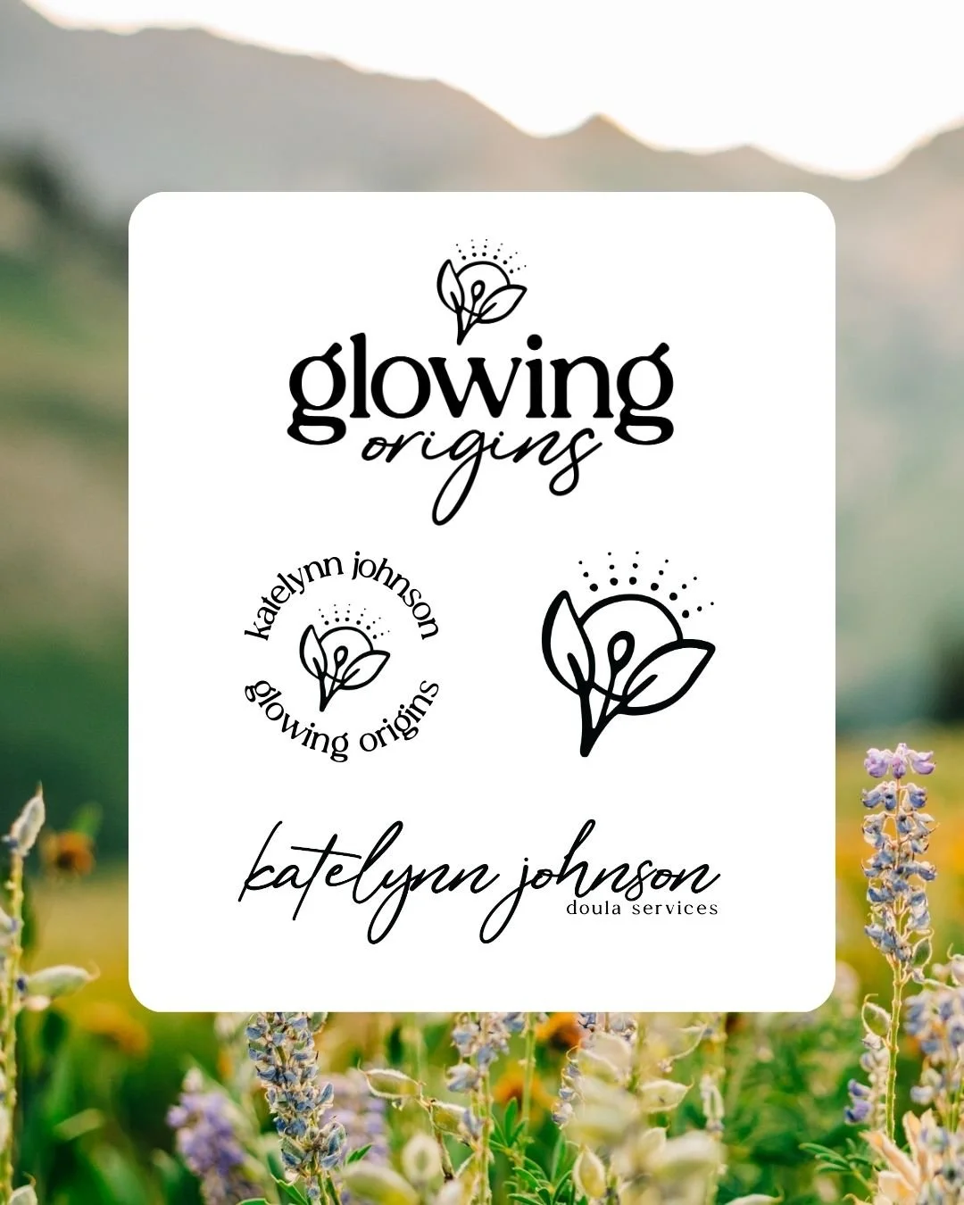 Quote (Shorter) (2).jpg