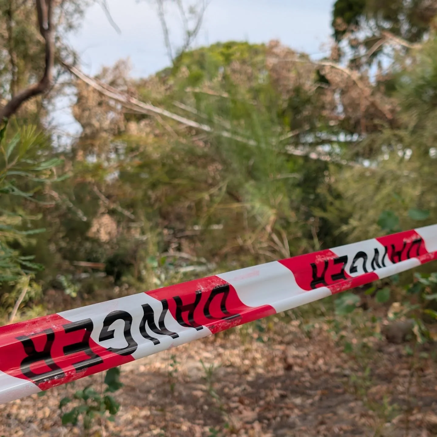 MOTION TO REPLACE TREES LOST IN DECEMBER STORM

Last month's storm activity and the damage this caused in the @cityofbayswater was devastating to our natural environment. While the City is still assessing the damage, counting (so far) has revealed we