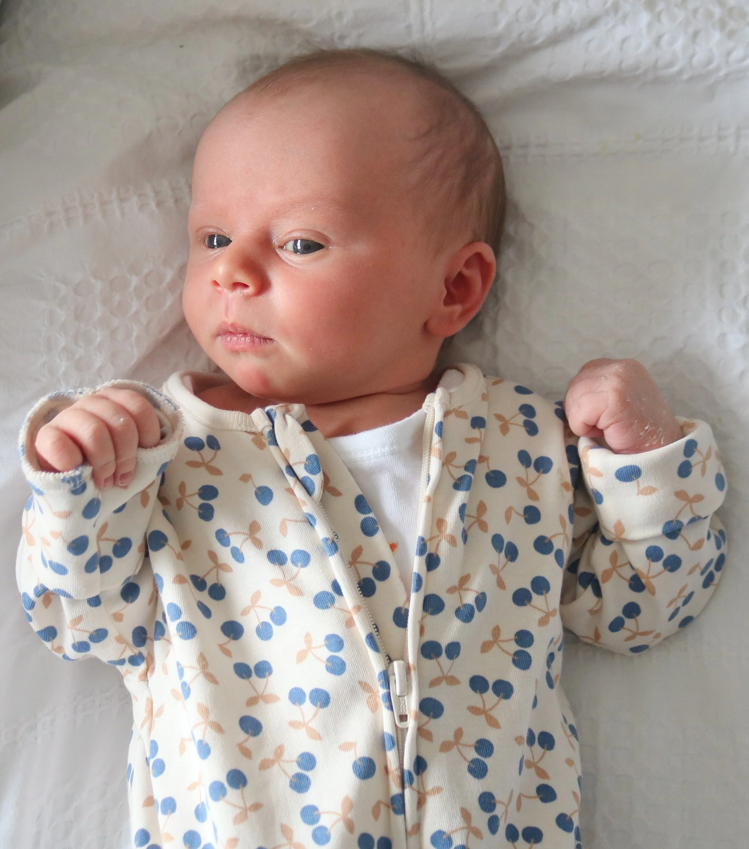 Natural newborn photography Glasgow south