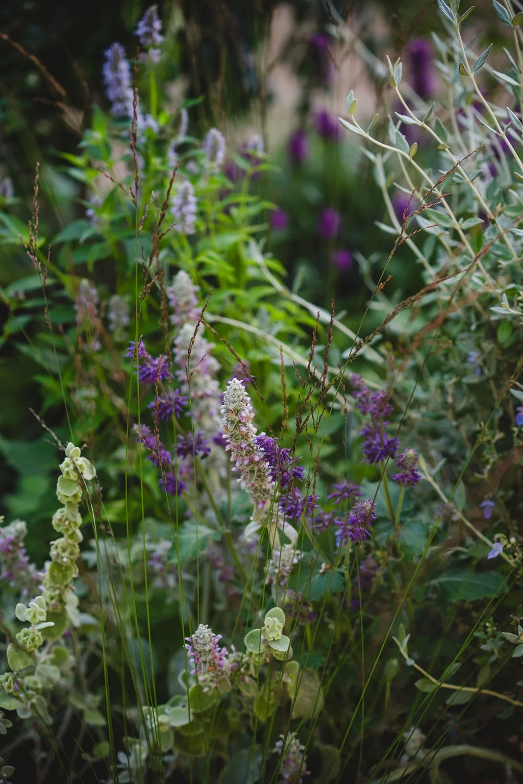 Sally & Ella_HCFS25-33.jpg