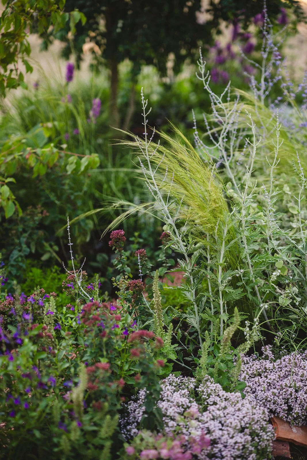 Sally & Ella_HCFS25-27.jpg