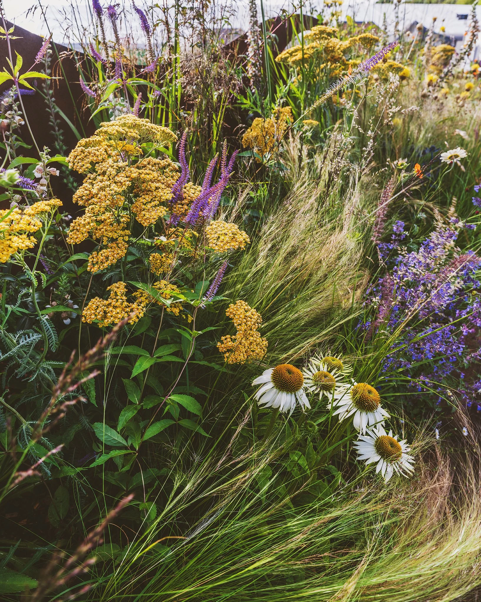 Credit: Matt Oliver Photography