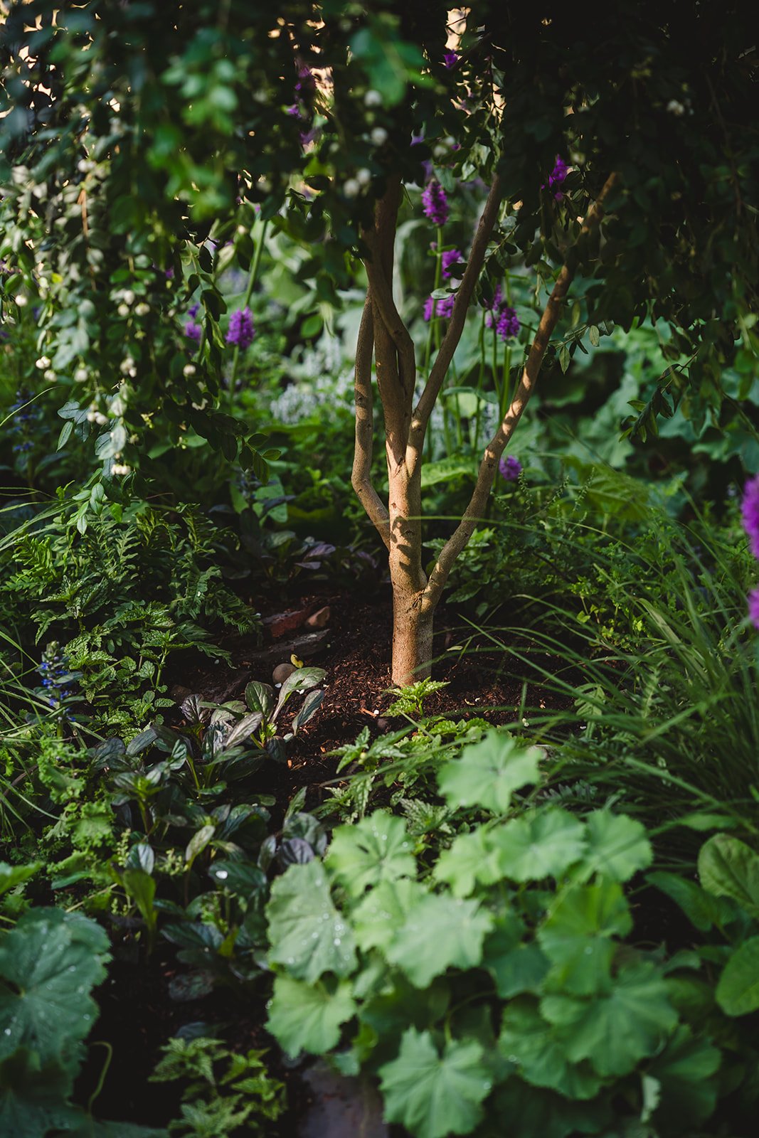 Sally & Ella_HCFS25-41.jpg