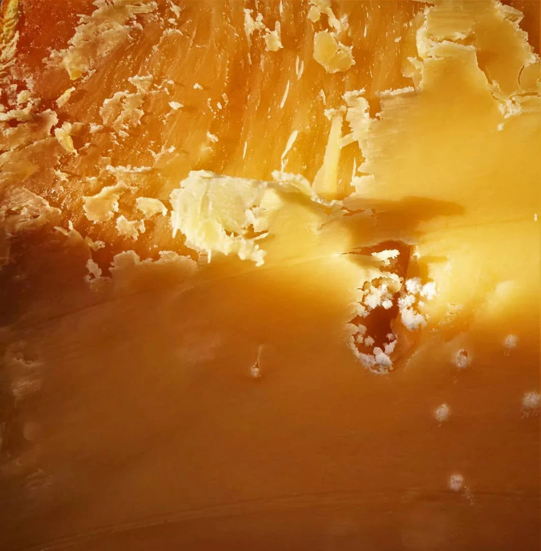 Umami - ce este și cum apare în brânzeturile maturate