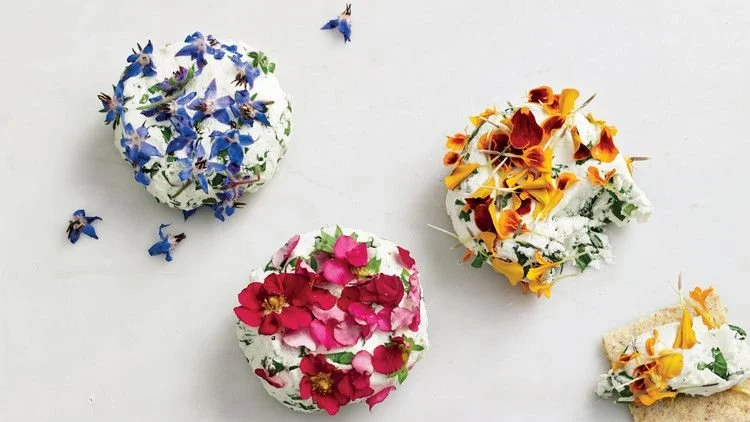 edible-flowers-cheese-9780307954442_horiz-55314abe3fb24813a155325b780fa336.jpgitokno4V7pFu.jpeg