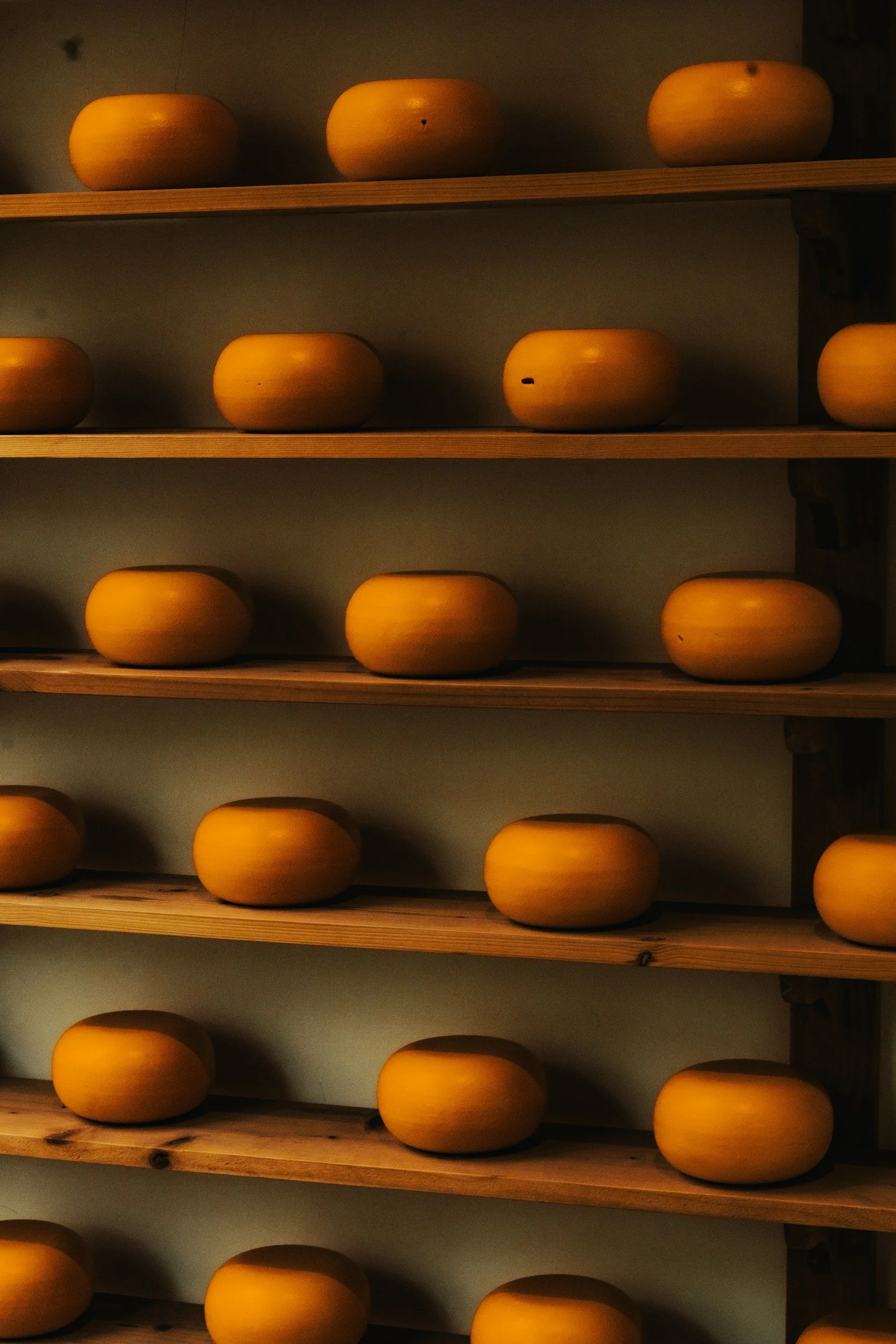 branzeturi asezate pe rafturi de lemn pentru maturare