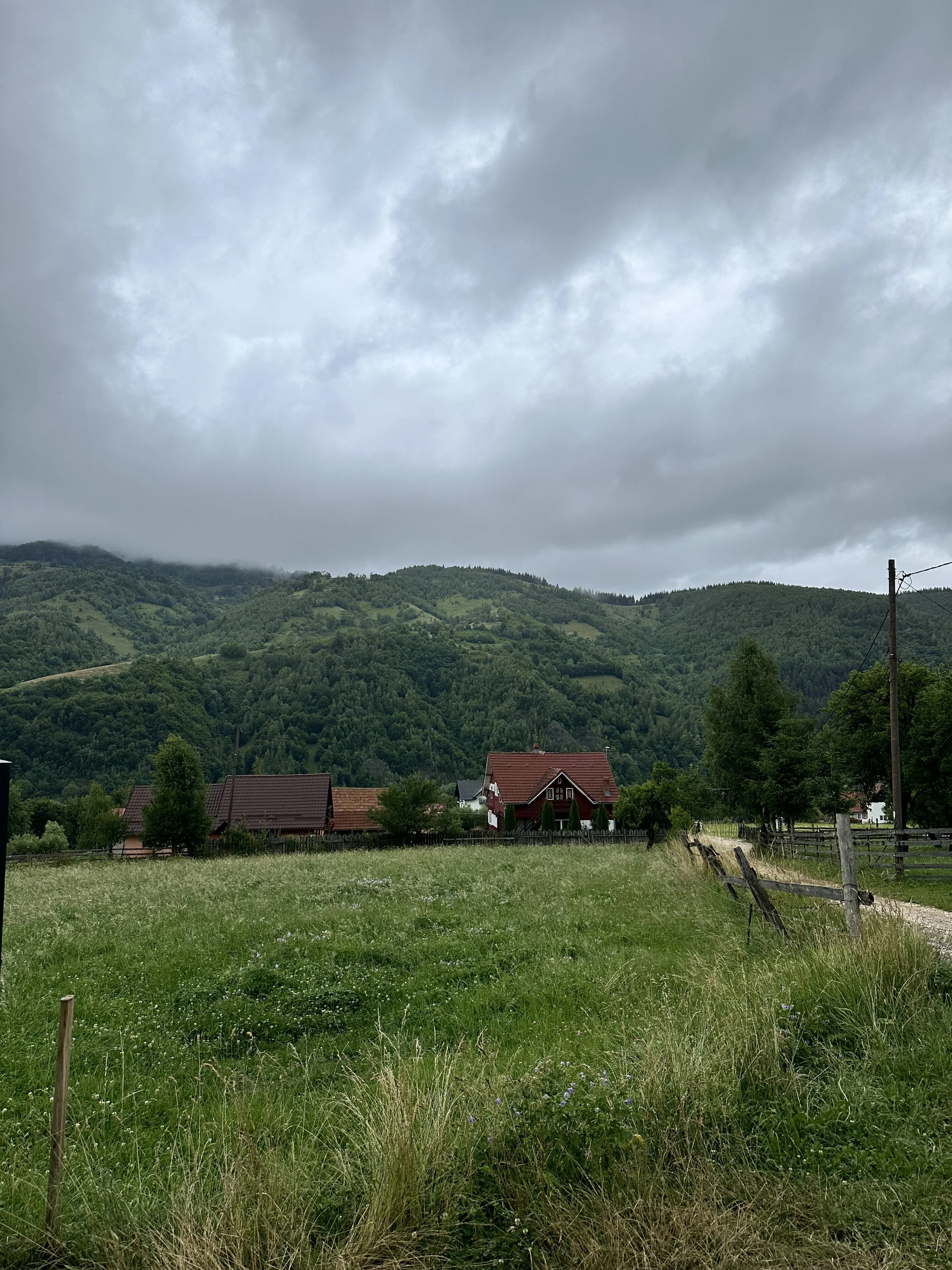 Brânza ca identitate: între tradiție, turism și absența unui sistem de susținere și promovare internaționalǎ