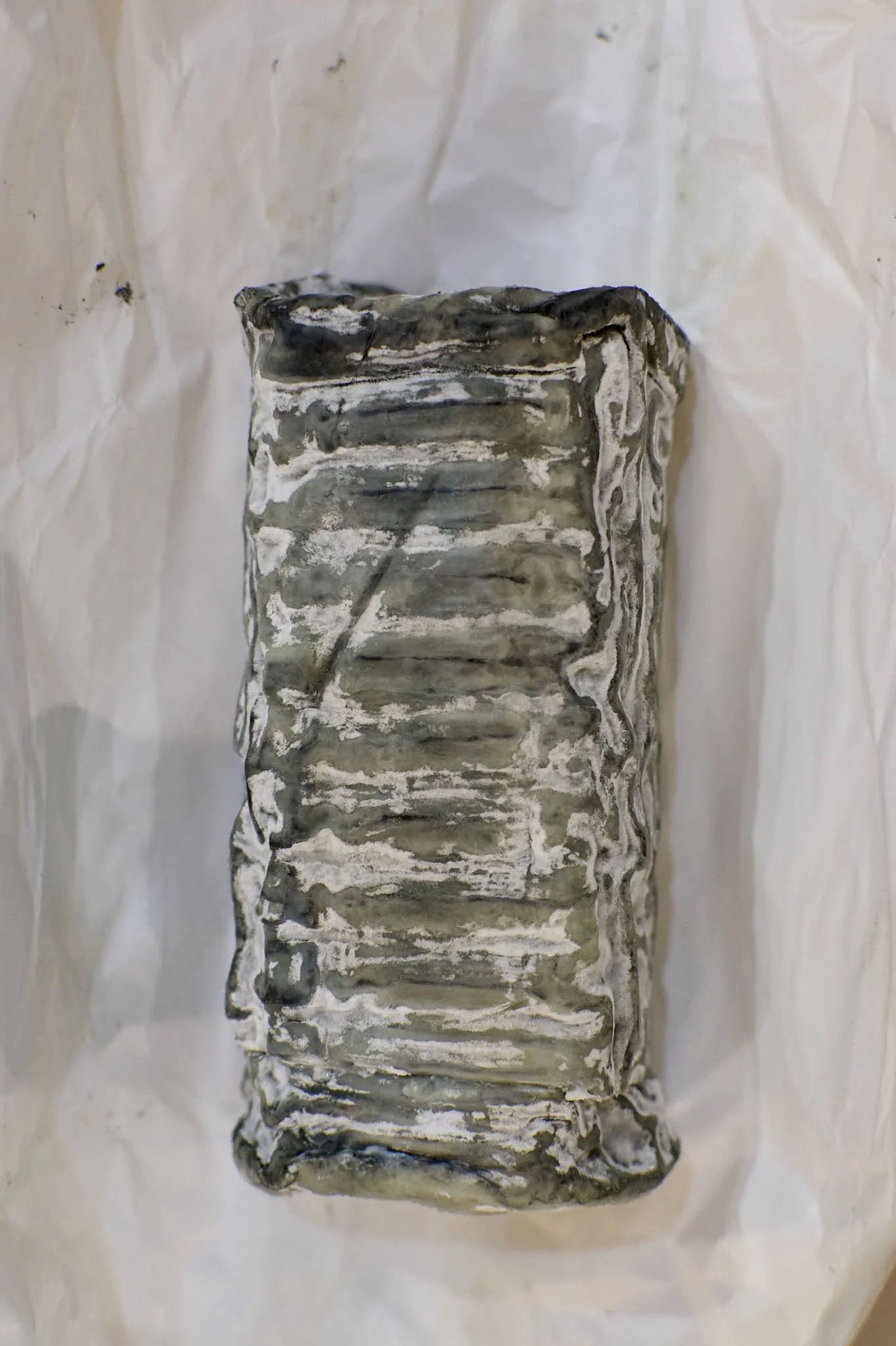 branza de capra sub forma cylindric maturata cu ajutorul cenusei vegetale