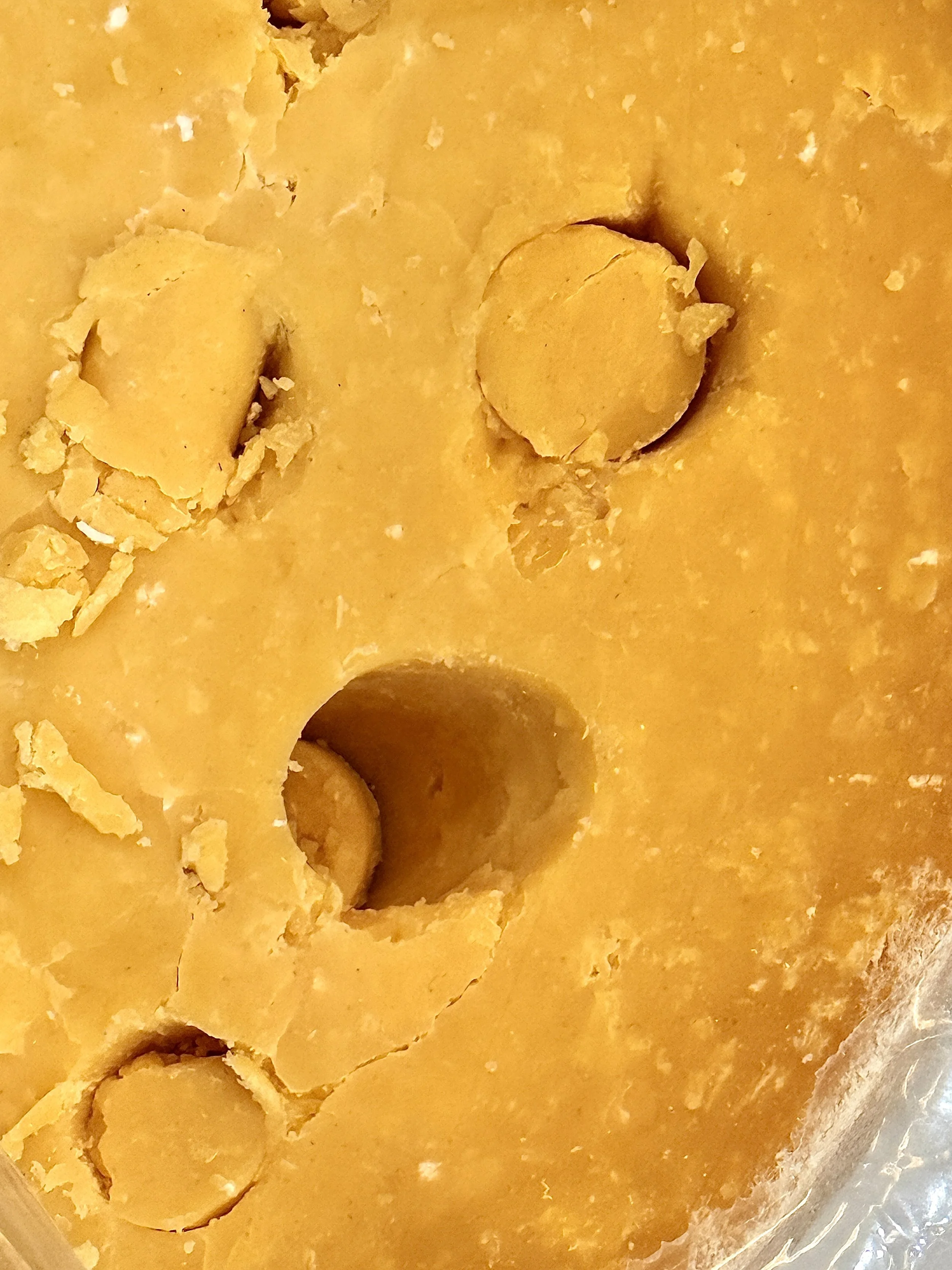 Branza Double Gloucester la evaluarea din timpul concursului de branzeturi