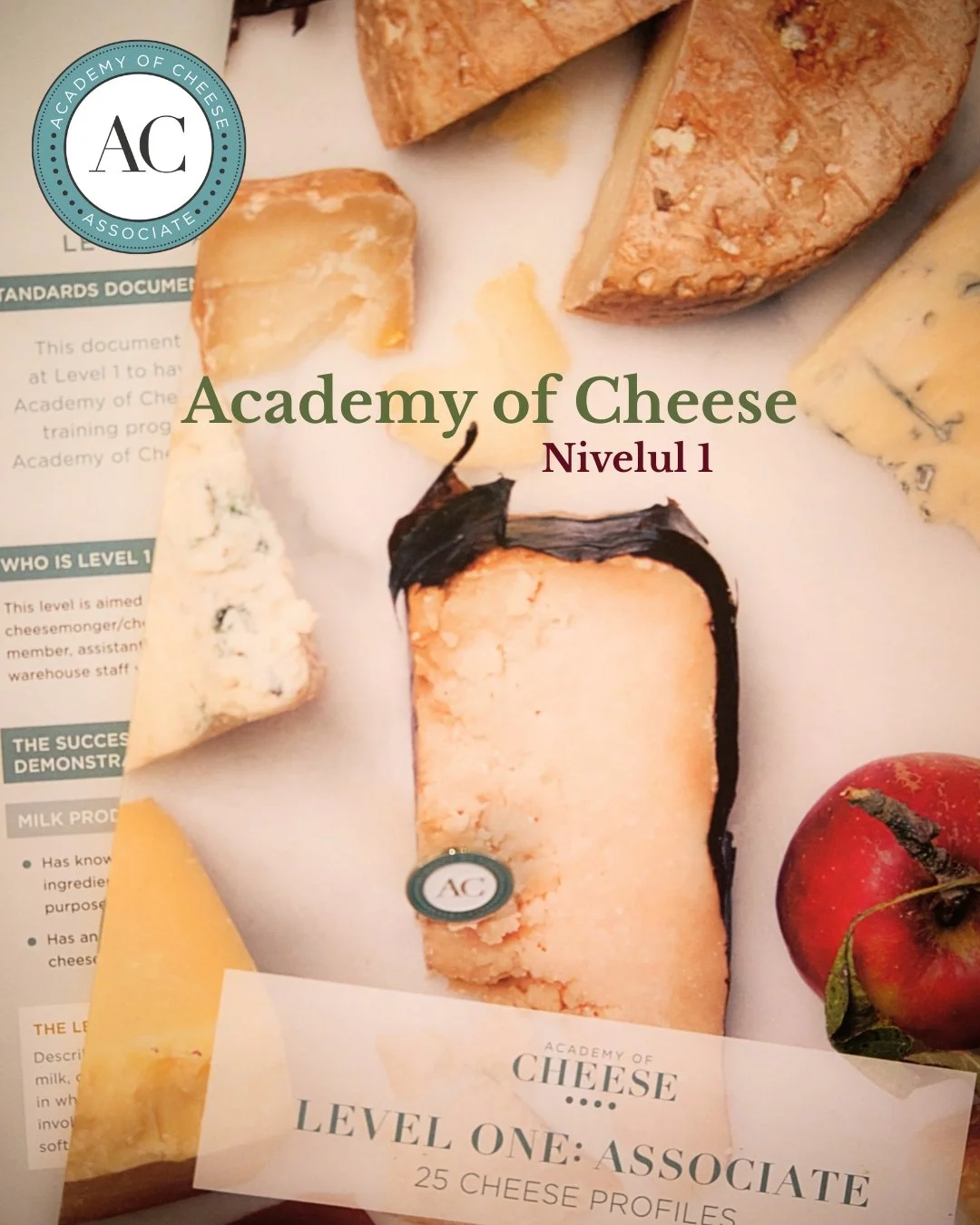 Materiale educationale Nivelul 1 curs branzeturi