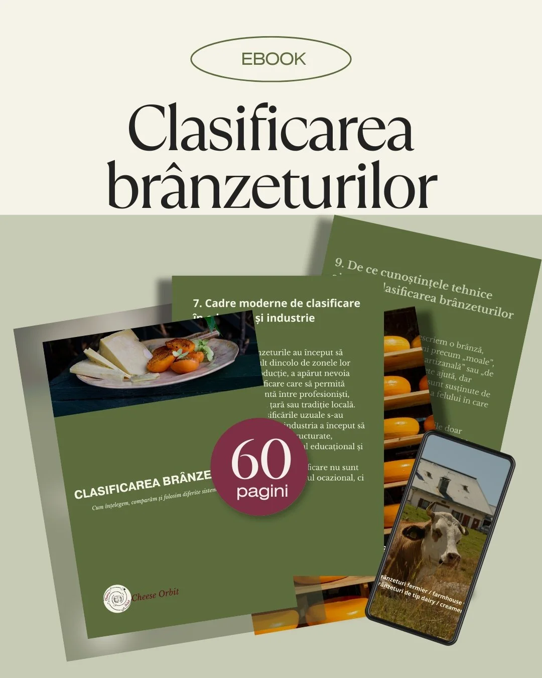 coperta de ebook despre clasificare branzeturilor elaborata de cheese orbit