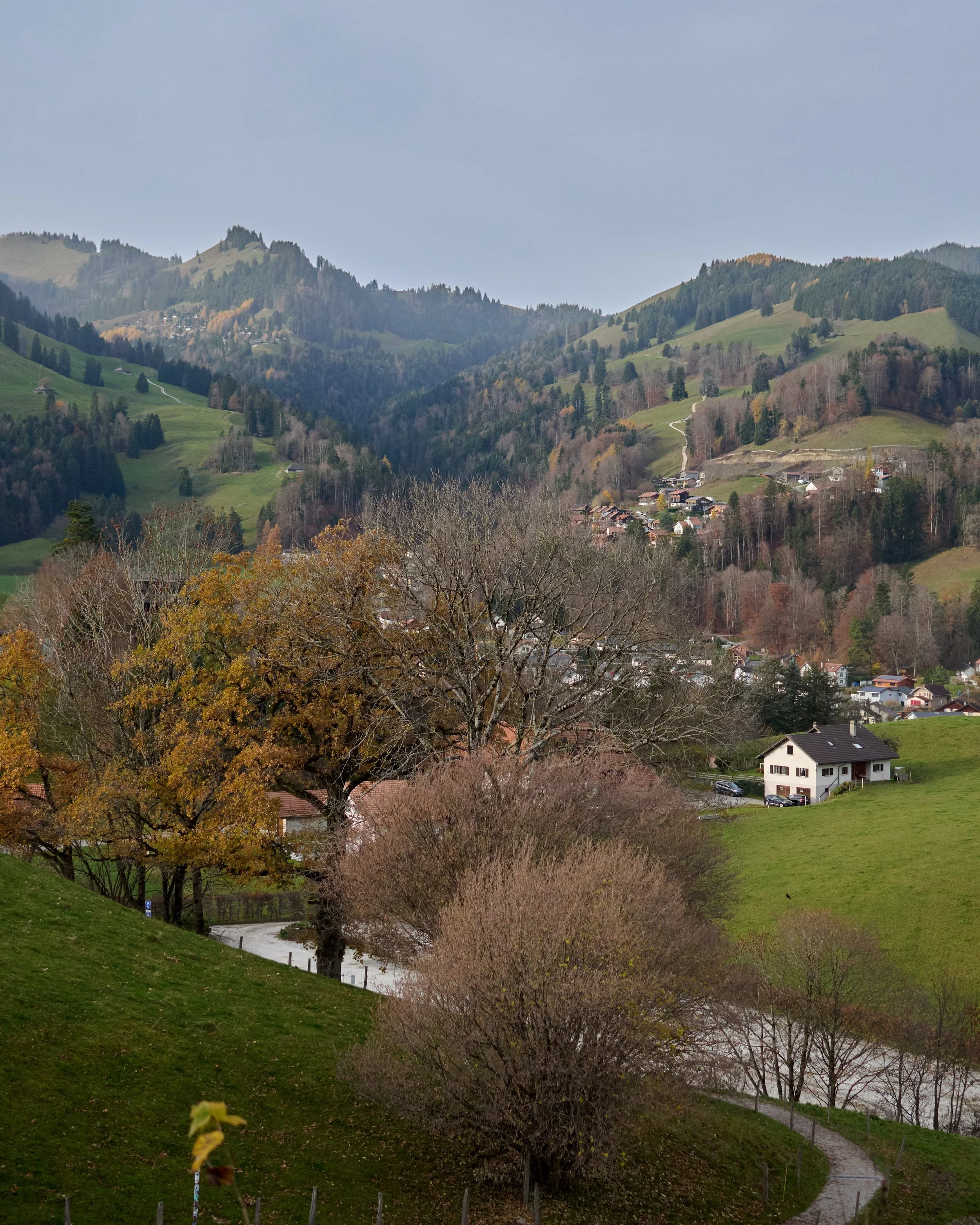 panorama a satului Gruyere