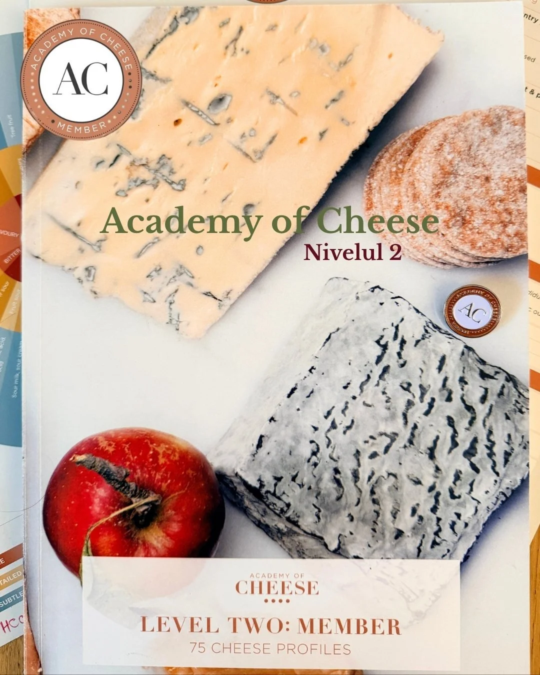 Materiale educationale Nivelul 2 de studiul al cursului de branzeturi