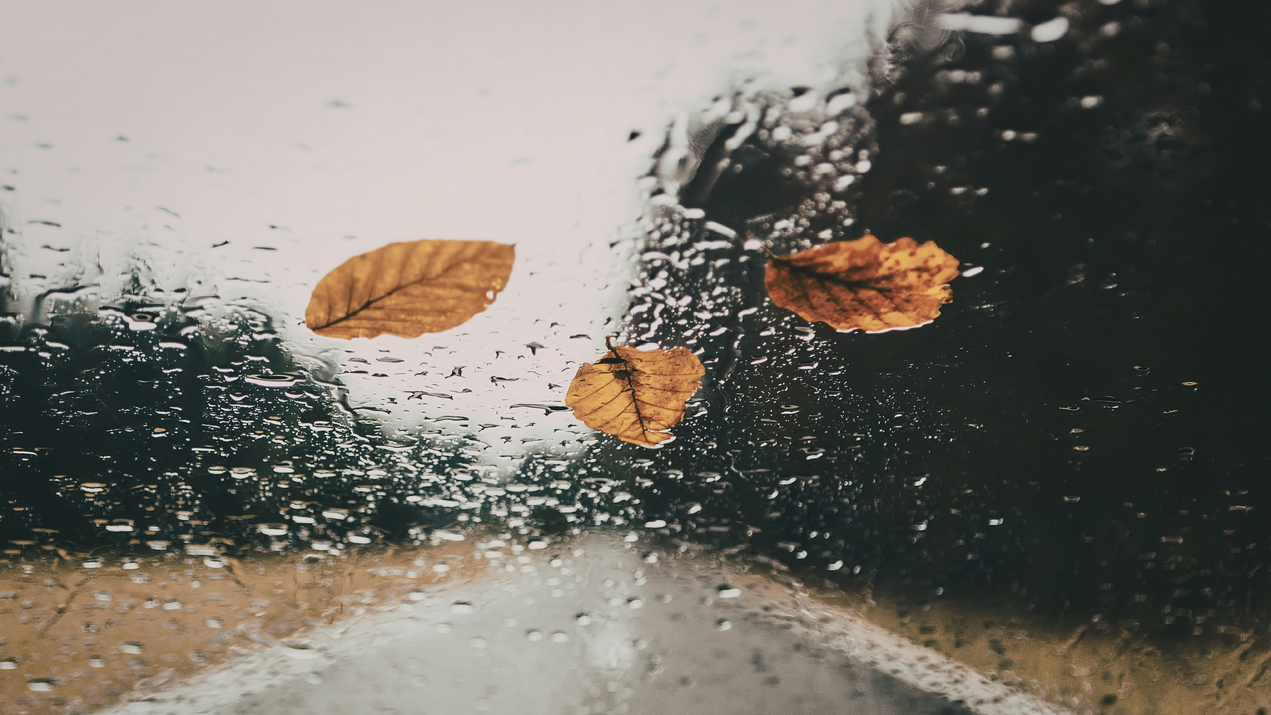 The Invisible Job Market in 2026: How Roles Get Filled Before They’re Posted