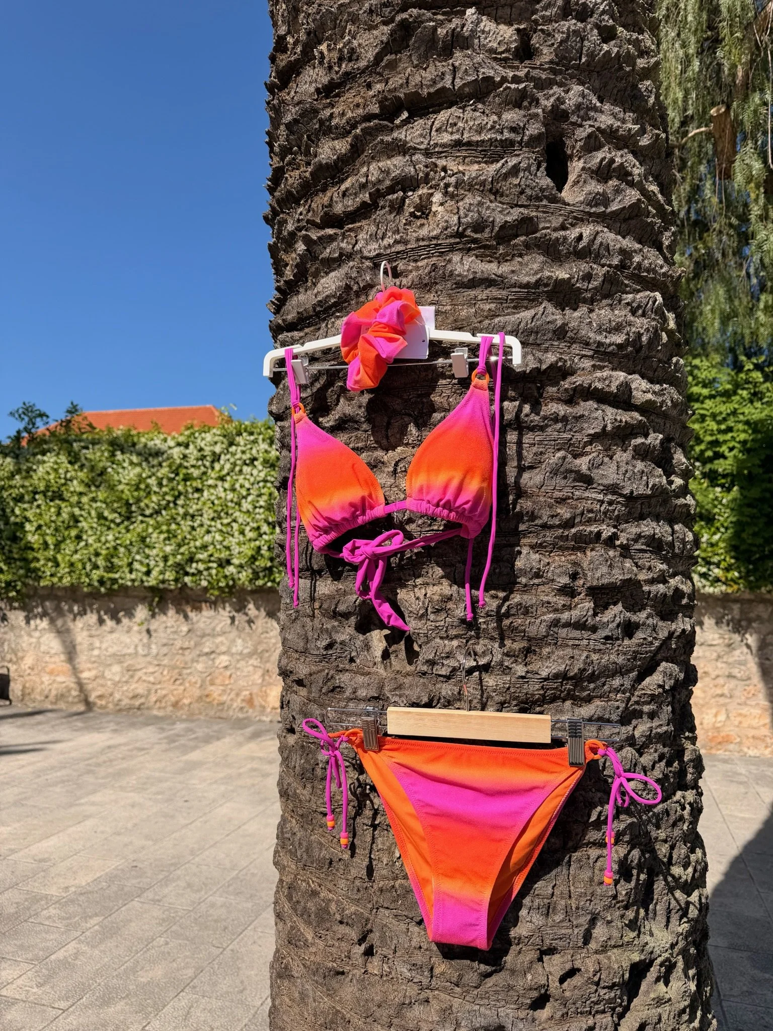Colorful bikini hanging on a palm tree trunk outdoors with a hedge, building, and blue sky in the background.