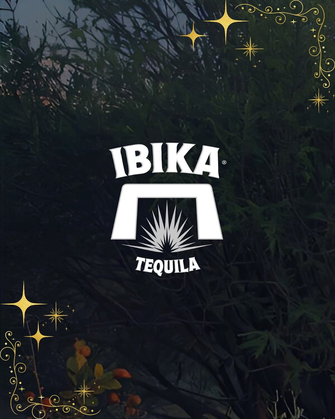 From our table to yours - here&rsquo;s to good company, smooth pours, and a Christmas done the Ibika way ✨

Find the perfect gift this season. Shop Ibika through the link in bio.
.

#ibikatequila #tequilabrand #artisanaltequila #naturaltequila #premi